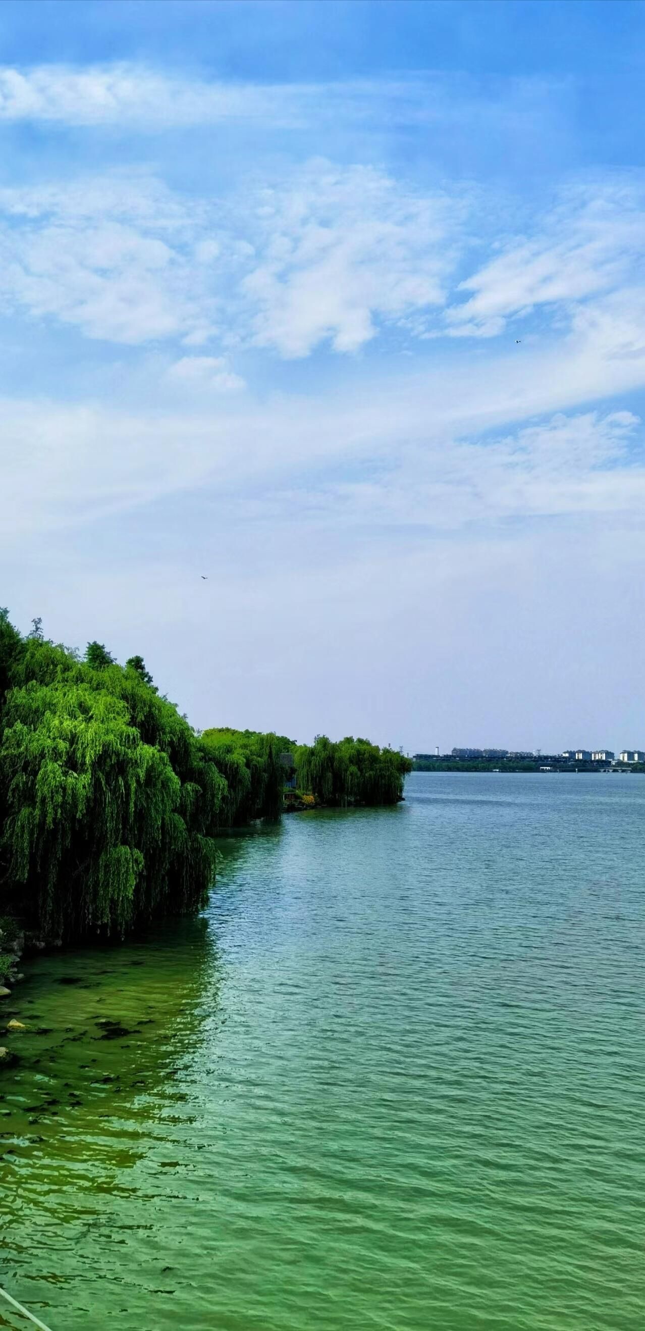 湘家荡旅游度假区旅行图片 2