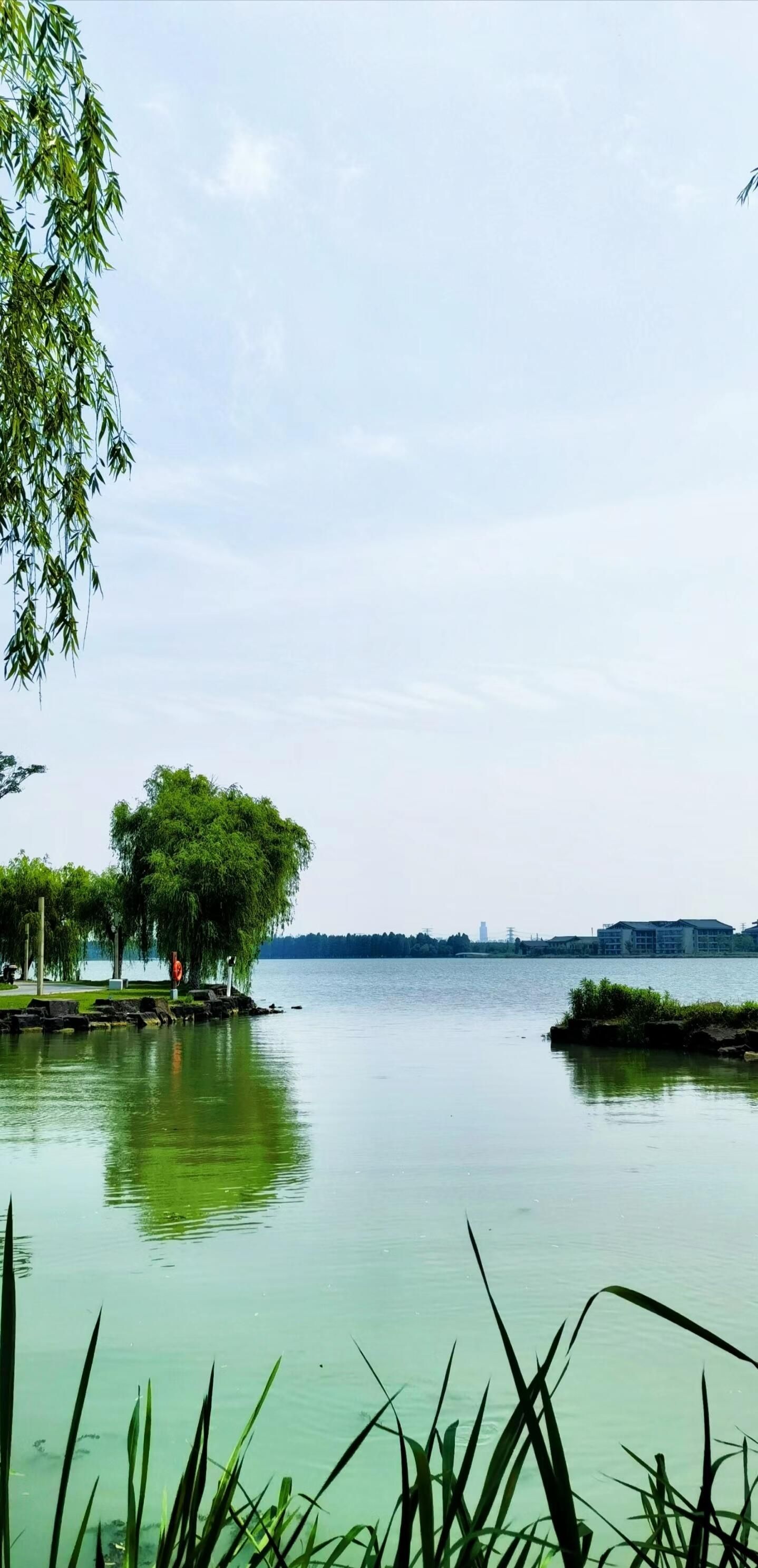 湘家荡旅游度假区旅行图片 3