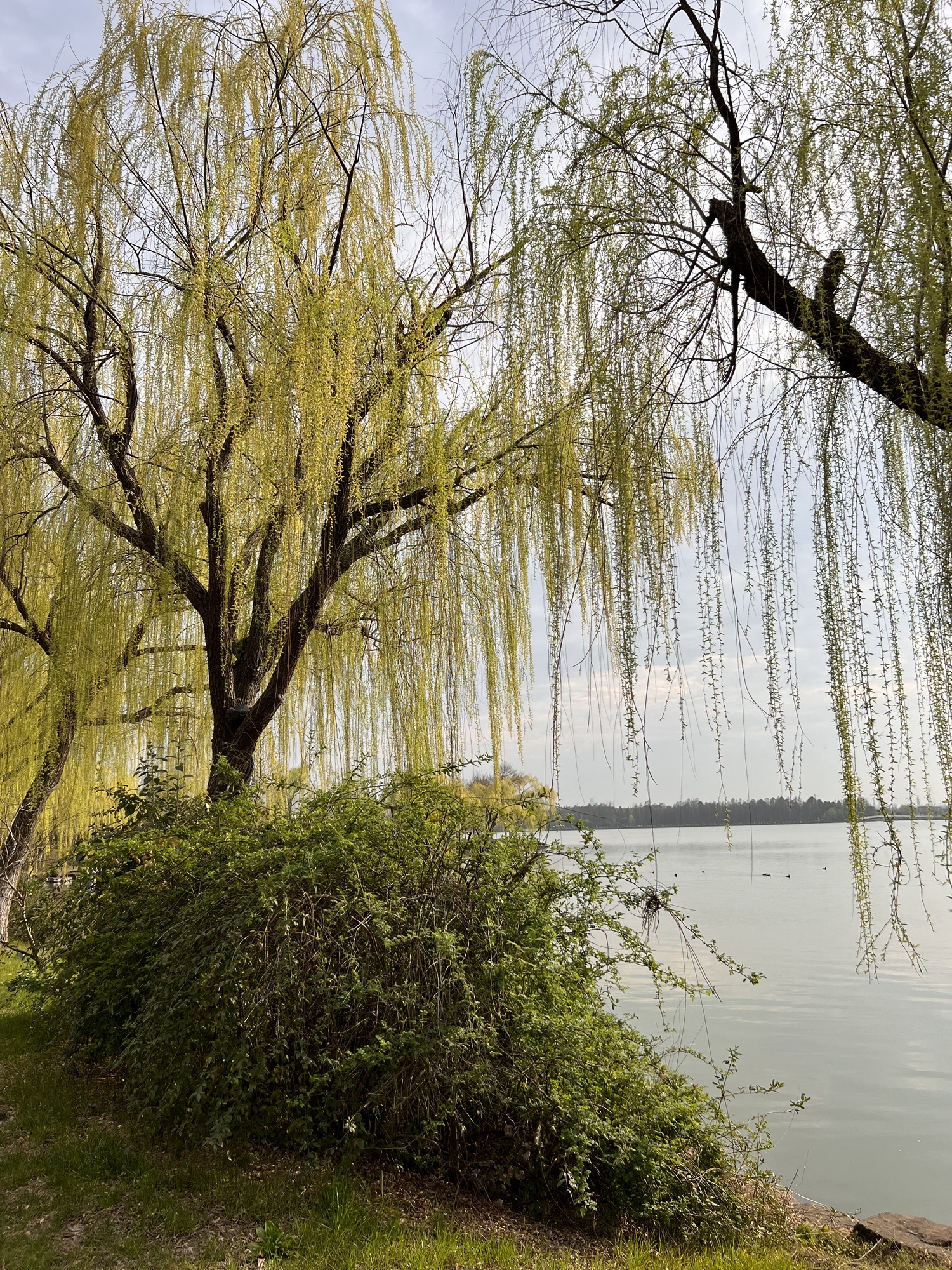 湘家荡旅游度假区旅行图片 3