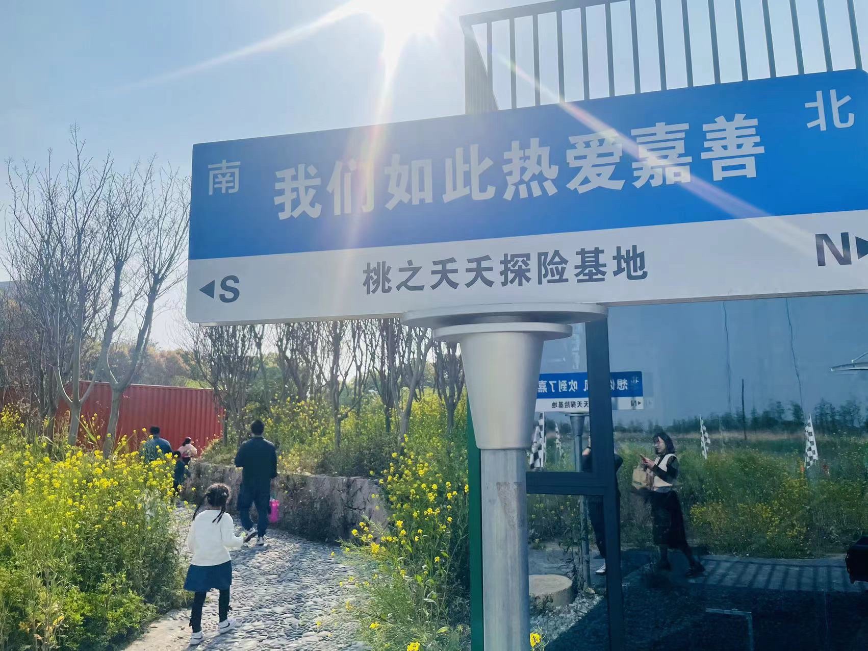五彩姚庄·浙北桃花岛景区旅行图片 3