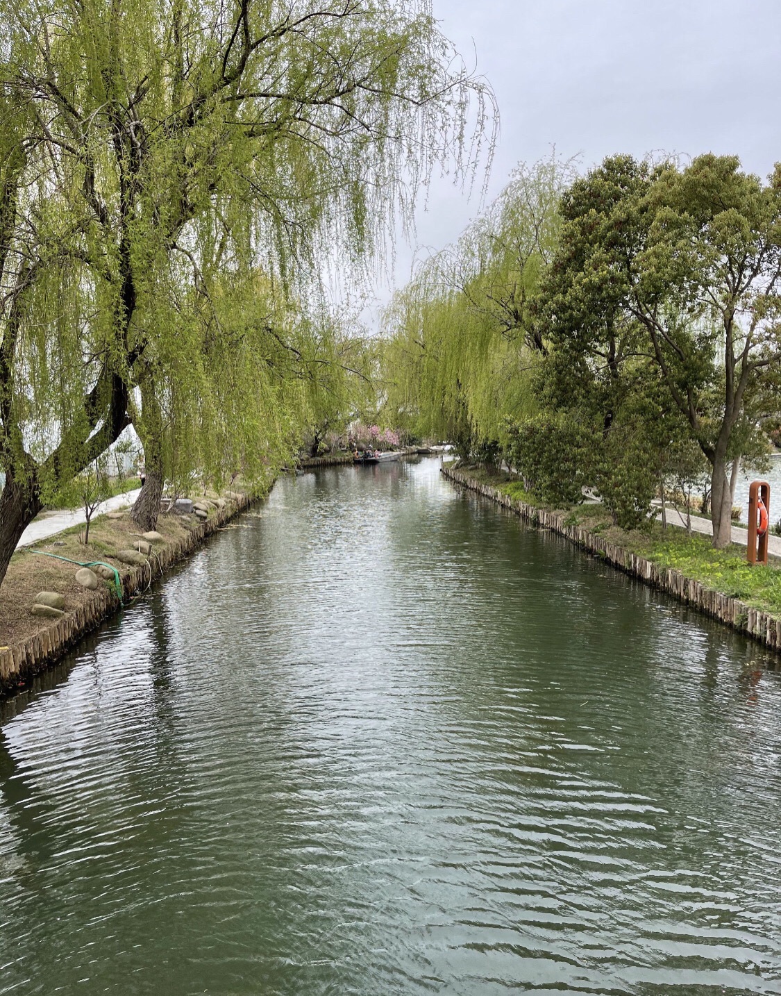 五彩姚庄·浙北桃花岛景区旅行图片 2