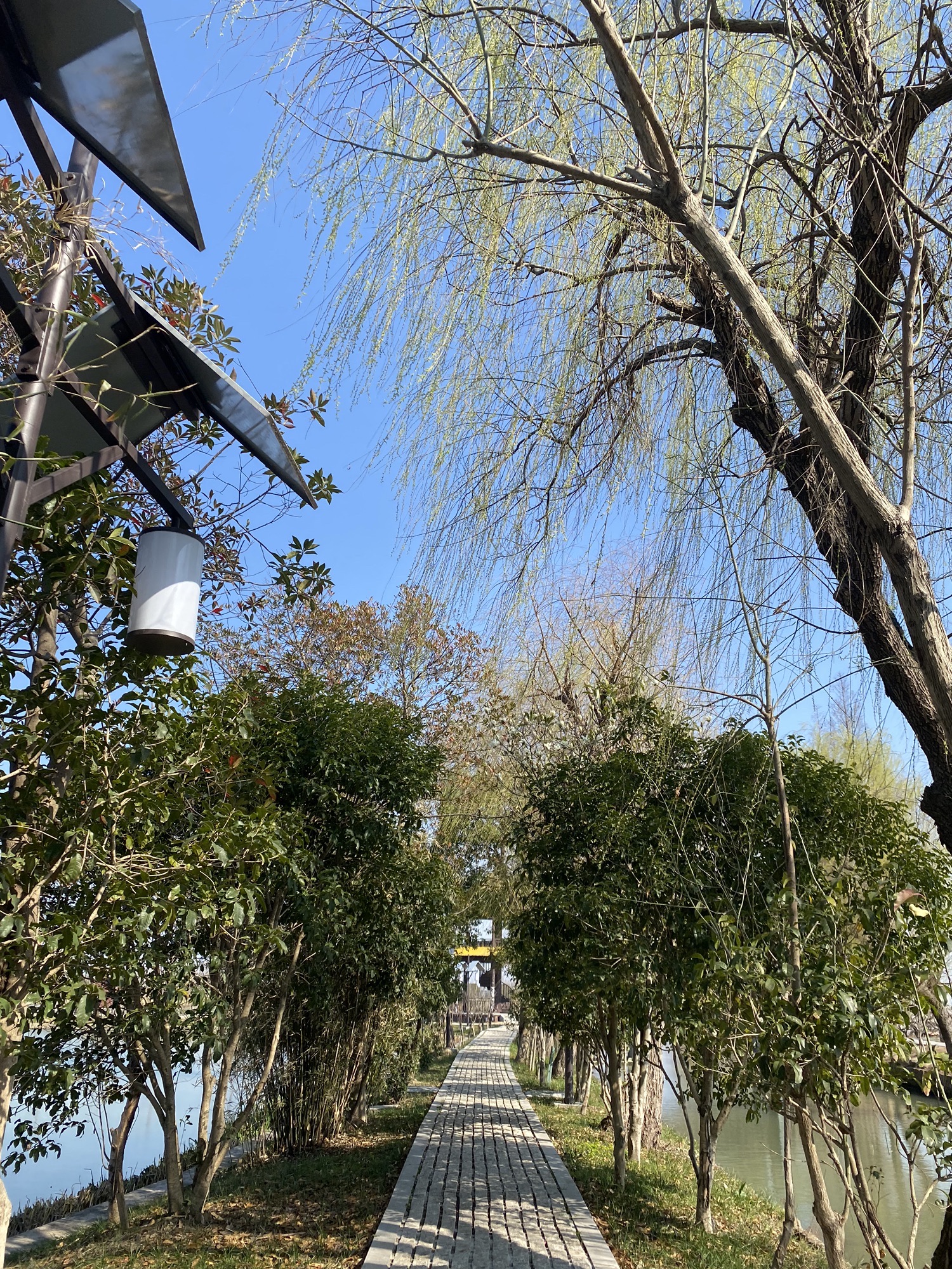 五彩姚庄·浙北桃花岛景区旅行图片 3