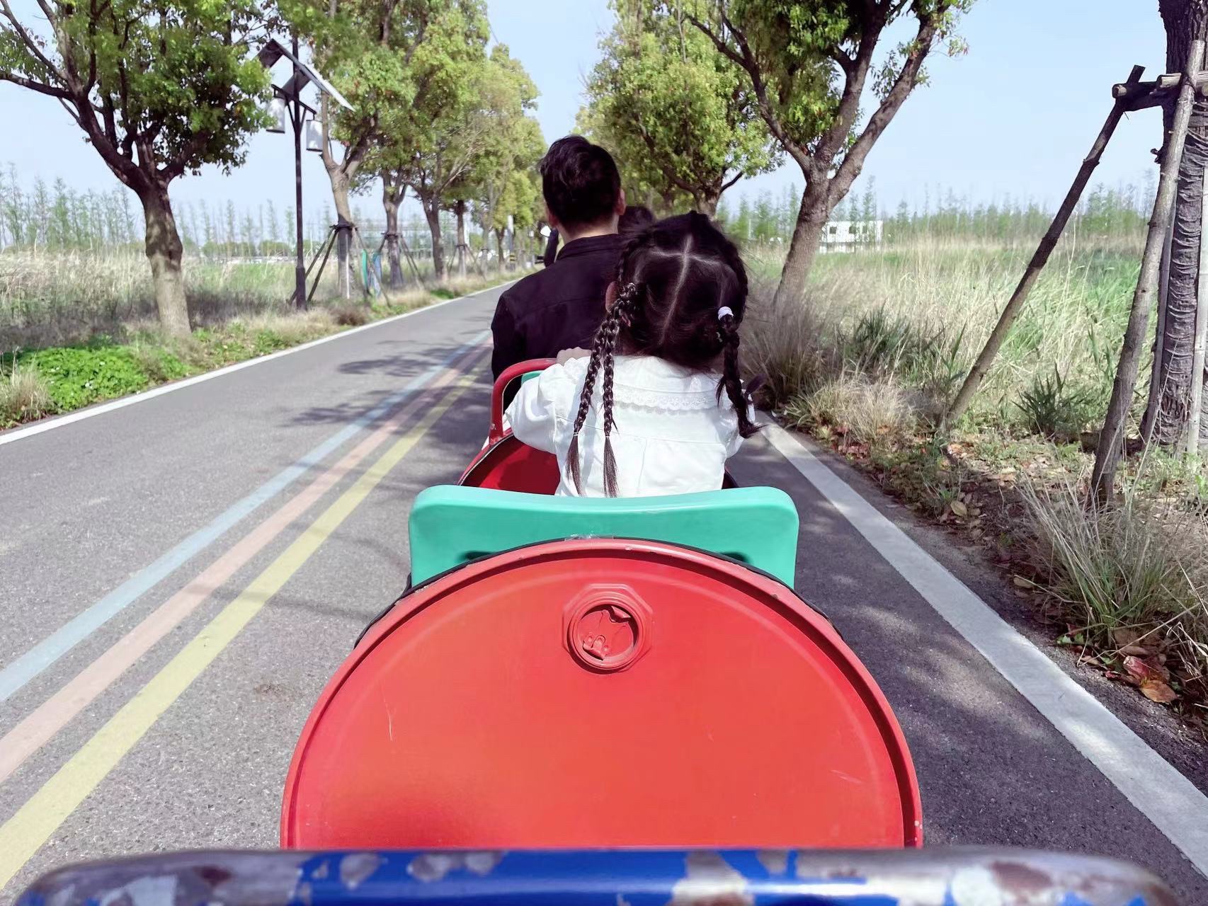 五彩姚庄·浙北桃花岛景区旅行图片 1
