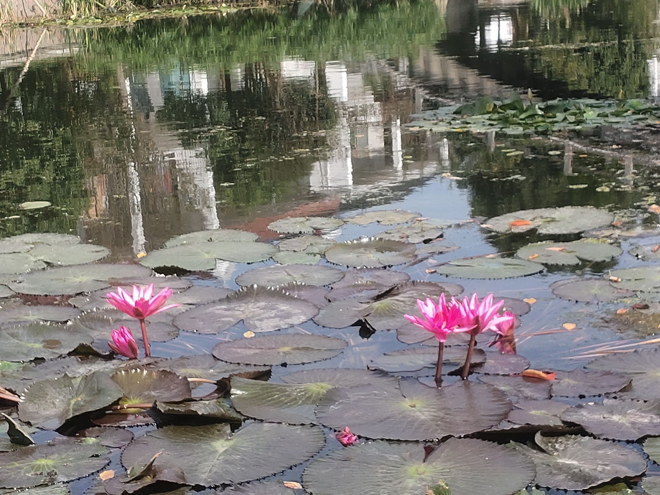 展幸村大往遗址旅行图片 2