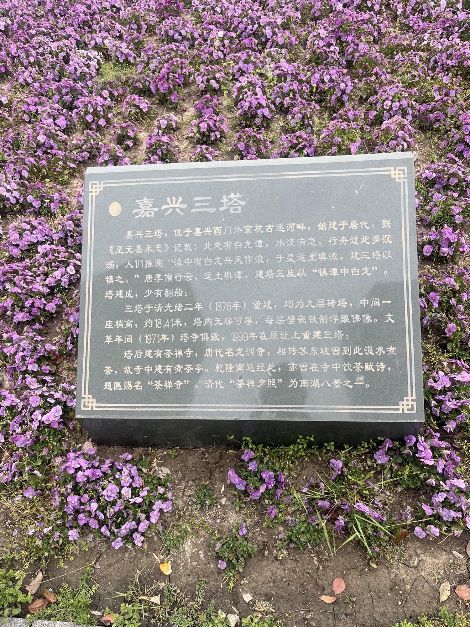 三塔公园旅行图片 3