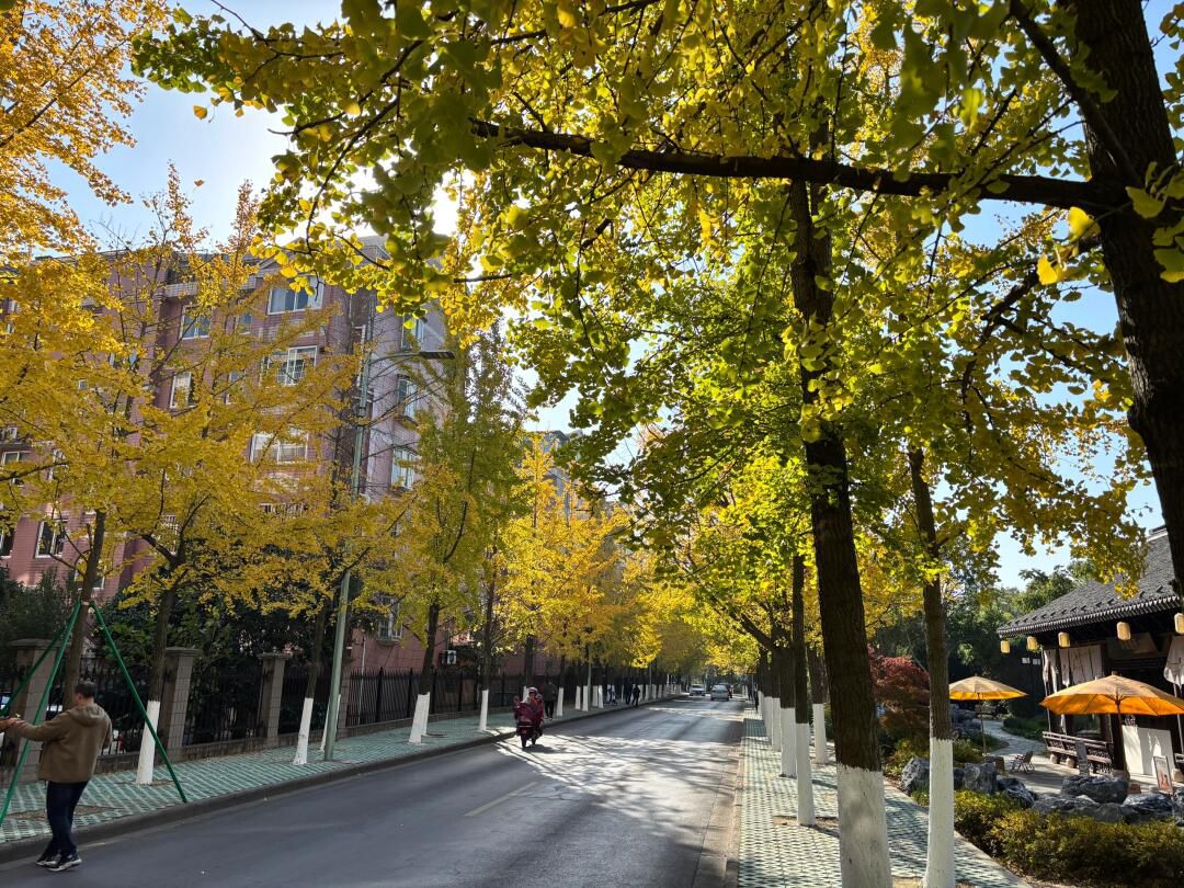 三塔公园旅行图片 3