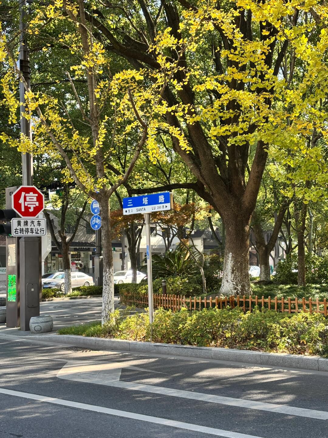 三塔公园旅行图片 1