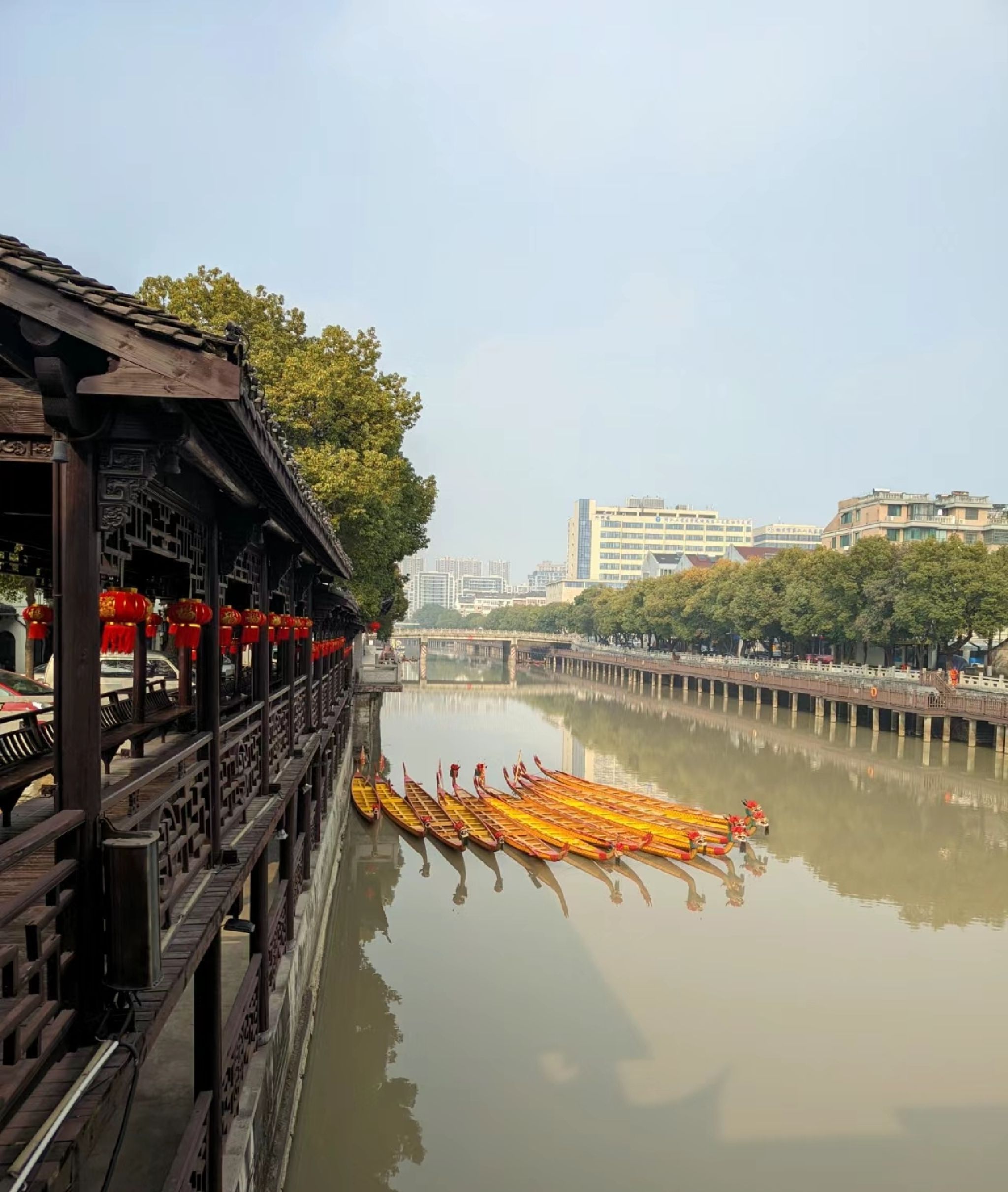 中山公园旅行图片 2