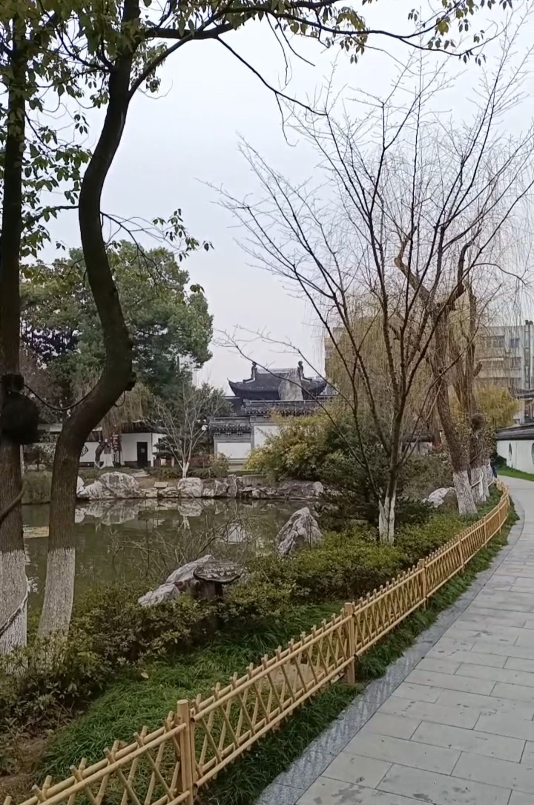 中山公园旅行图片 3