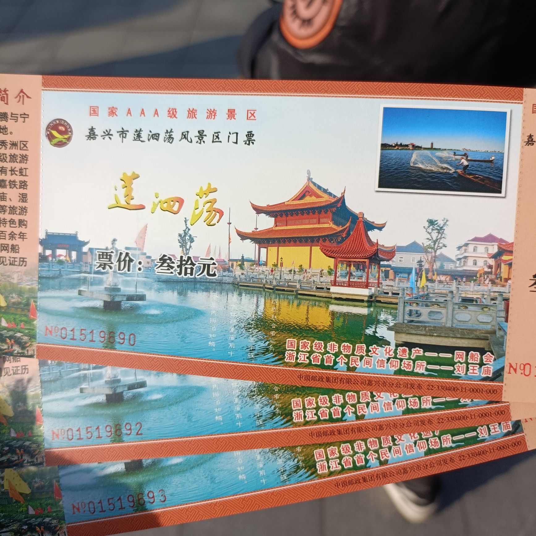 莲泗荡风景区旅行图片 1