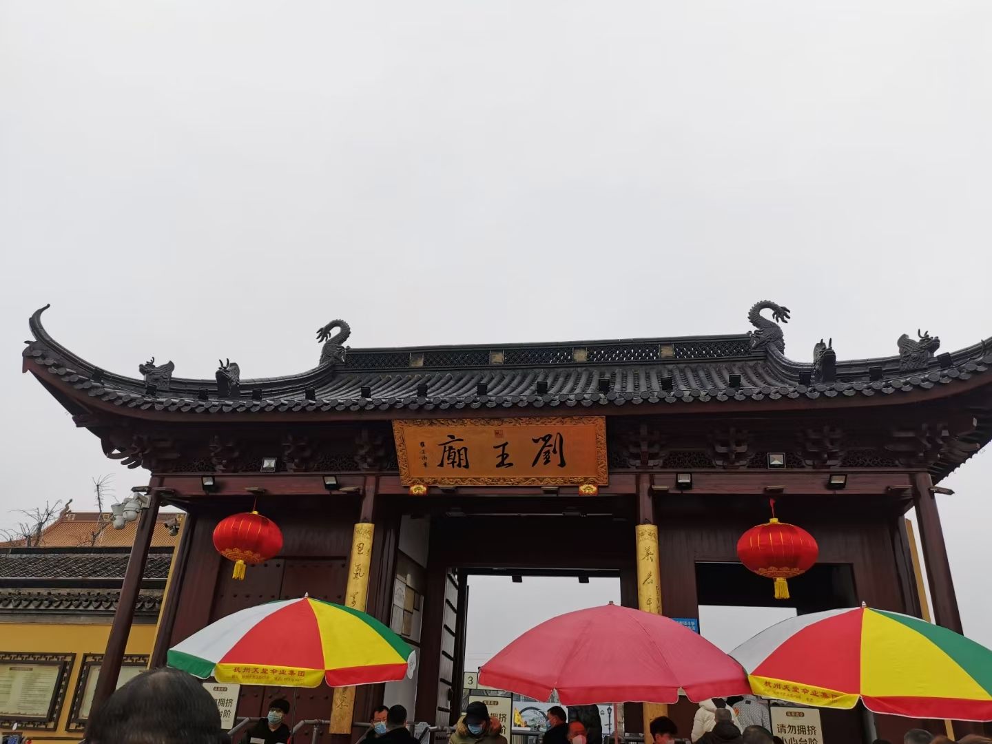 莲泗荡风景区旅行图片 2