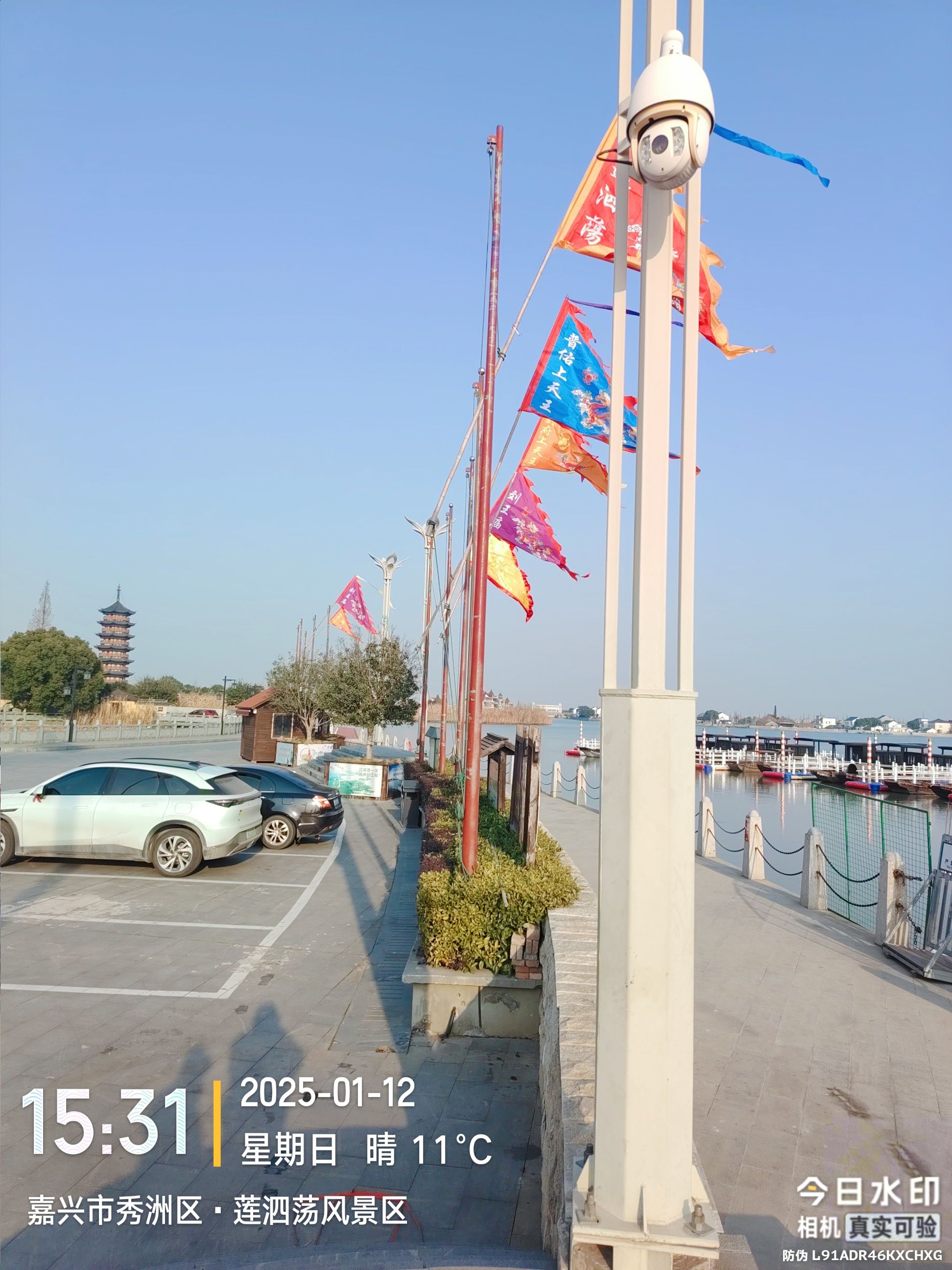 莲泗荡风景区旅行图片 3