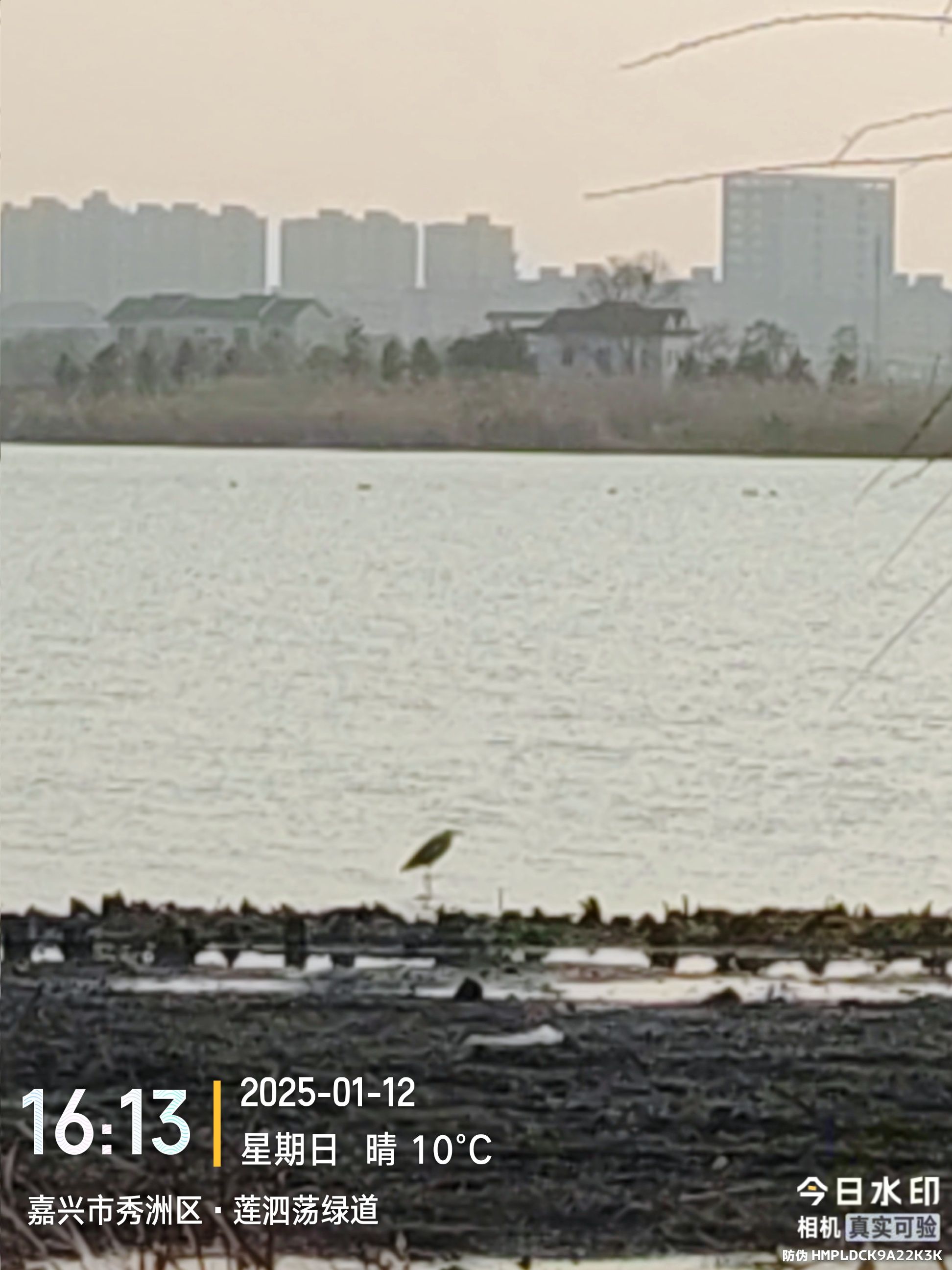 莲泗荡风景区旅行图片 1