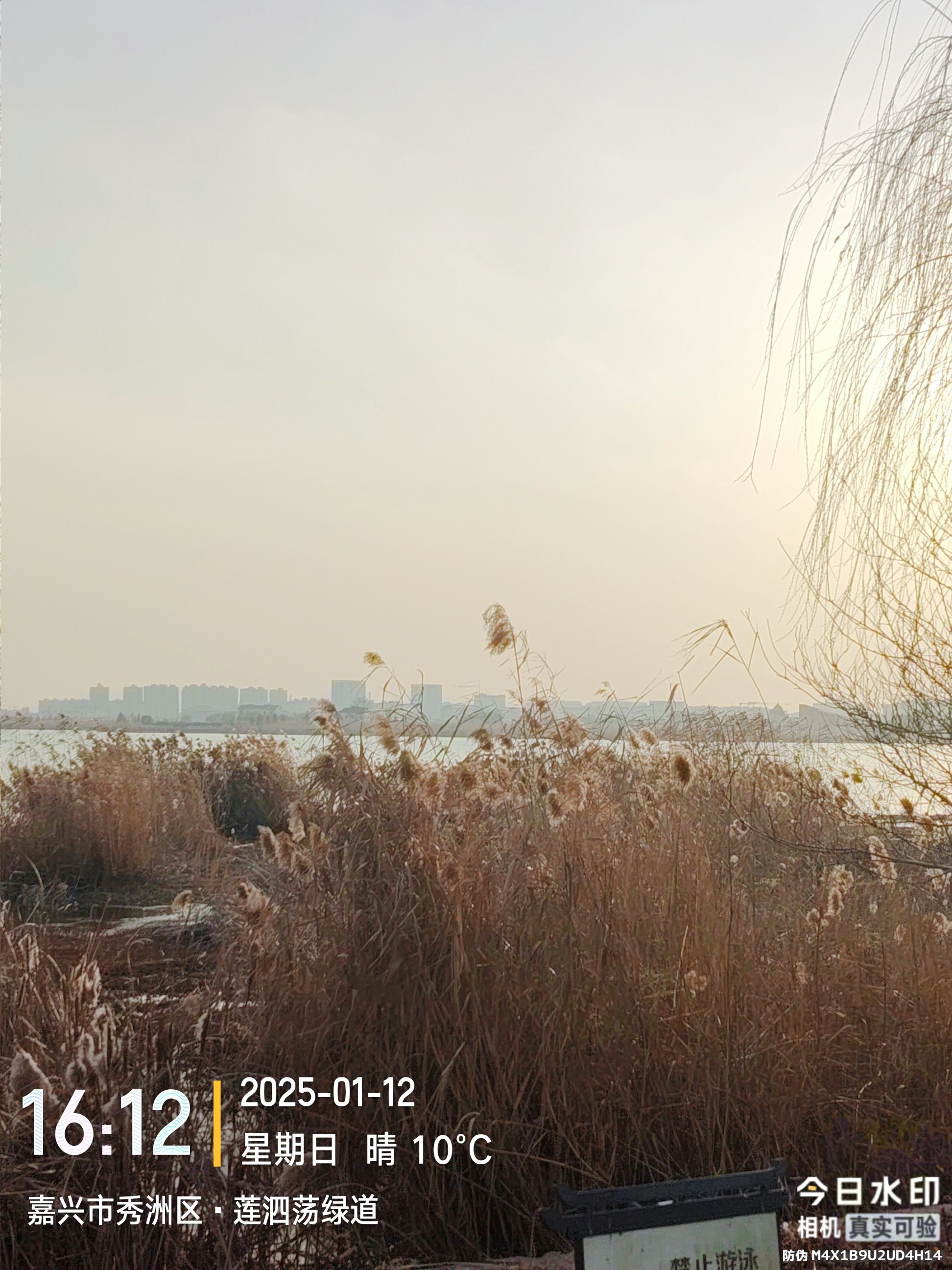 莲泗荡风景区旅行图片 2