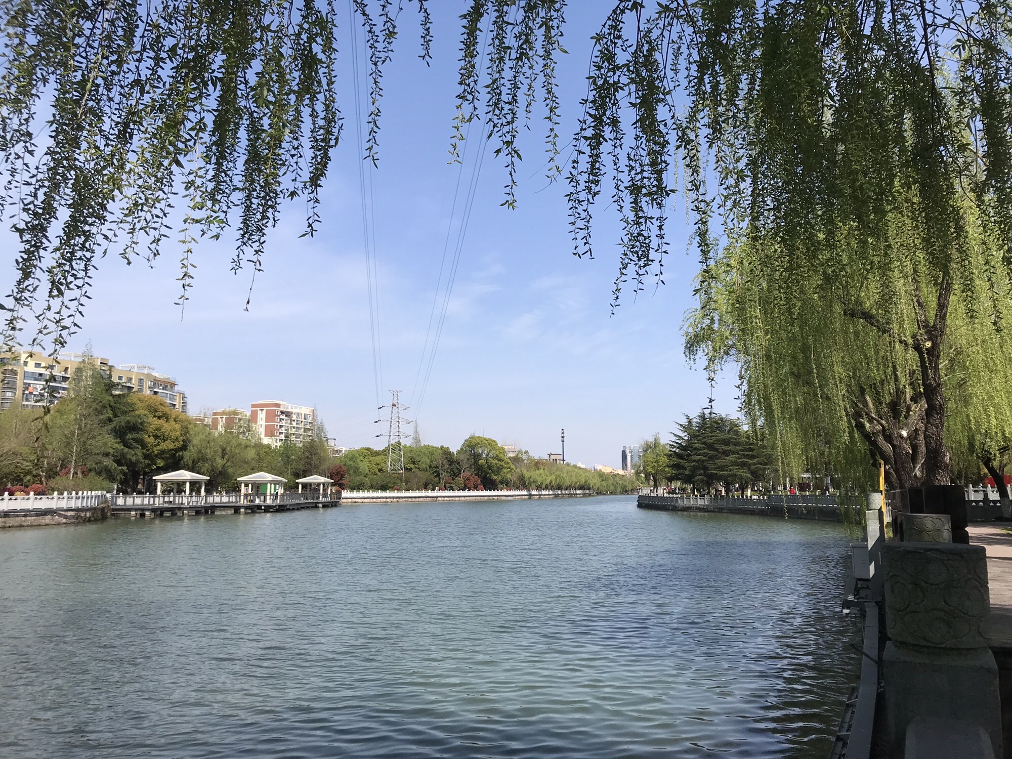 洪兴公园旅行图片 2