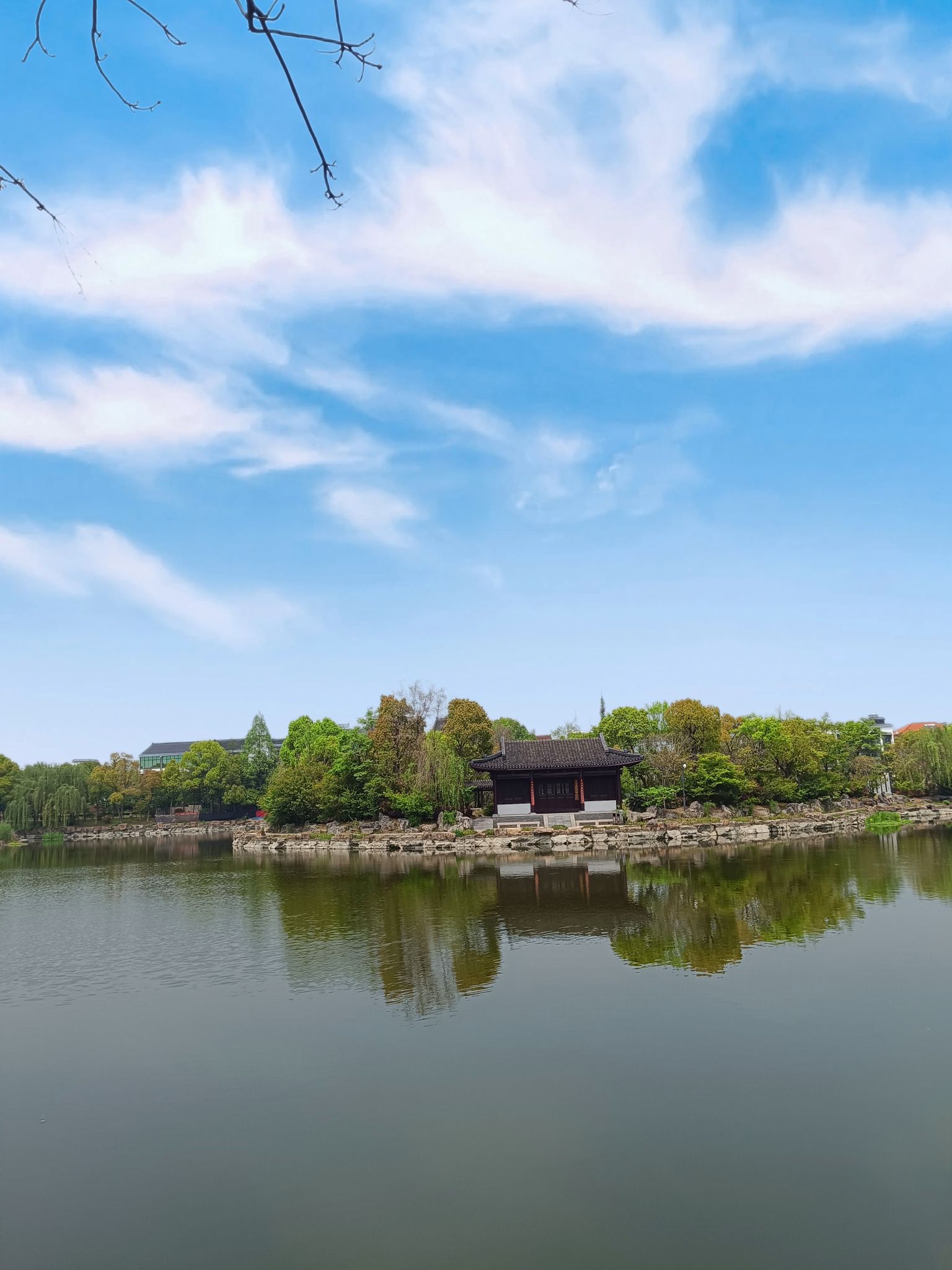 东兴公园旅行图片 3