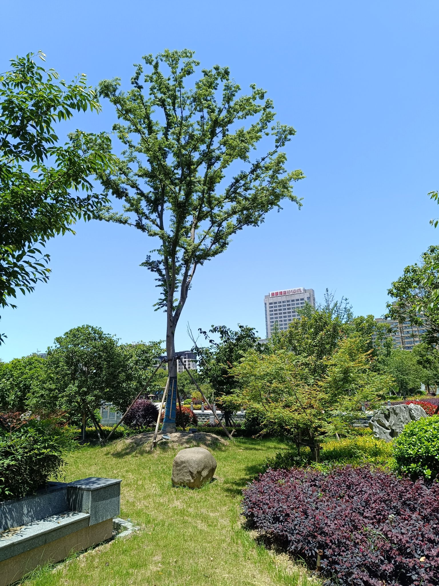 语溪公园旅行图片 3
