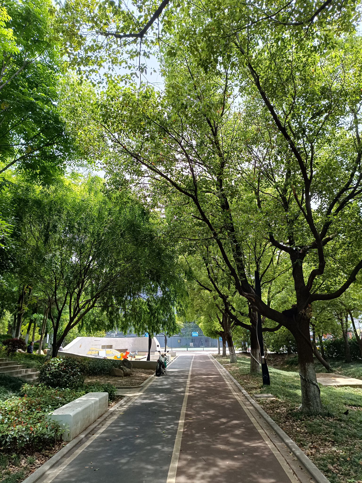 语溪公园旅行图片 1