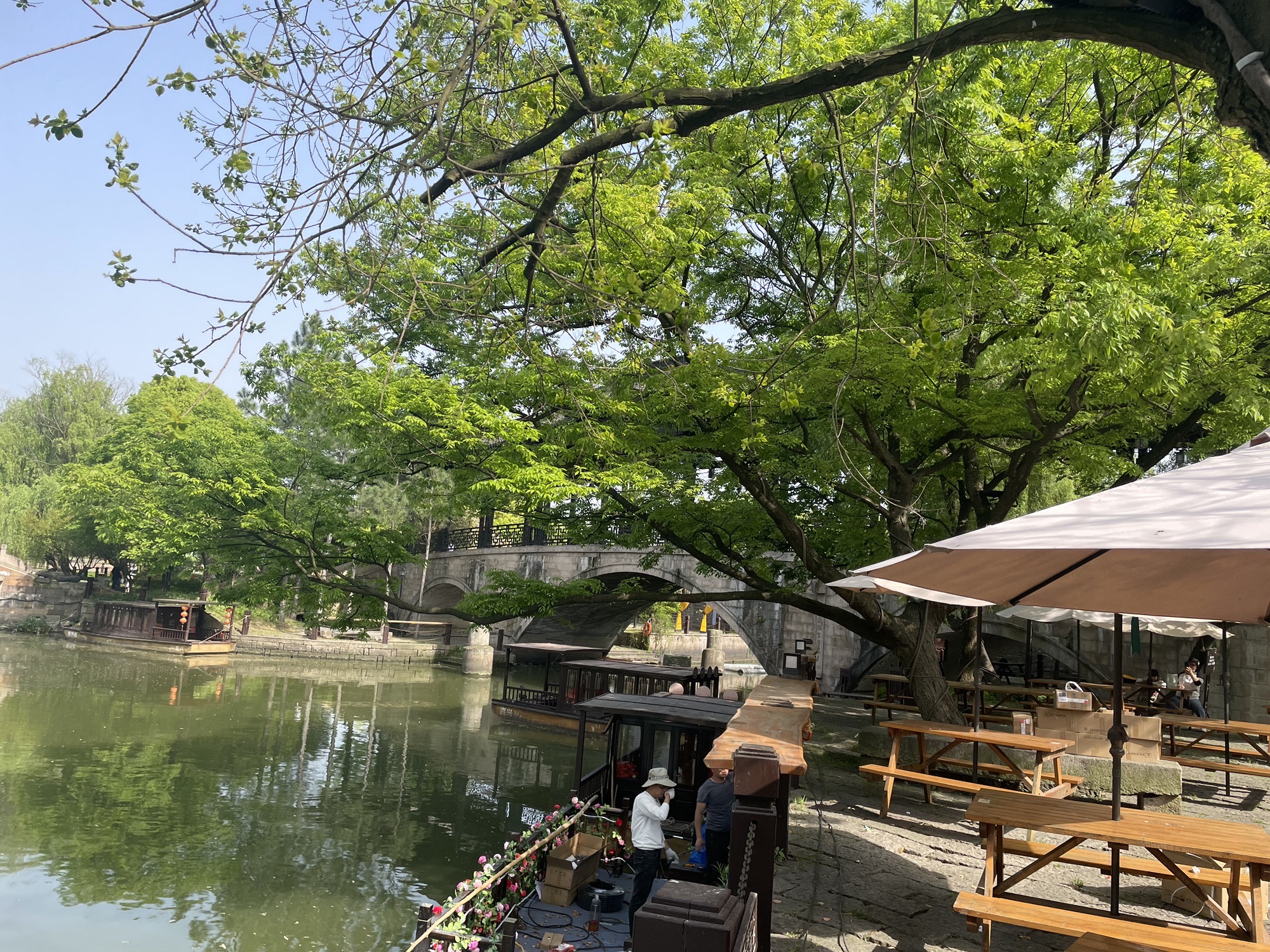 梅花洲景区旅行图片 3