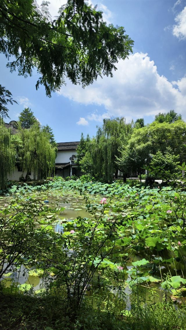 梅花洲景区旅行图片 3
