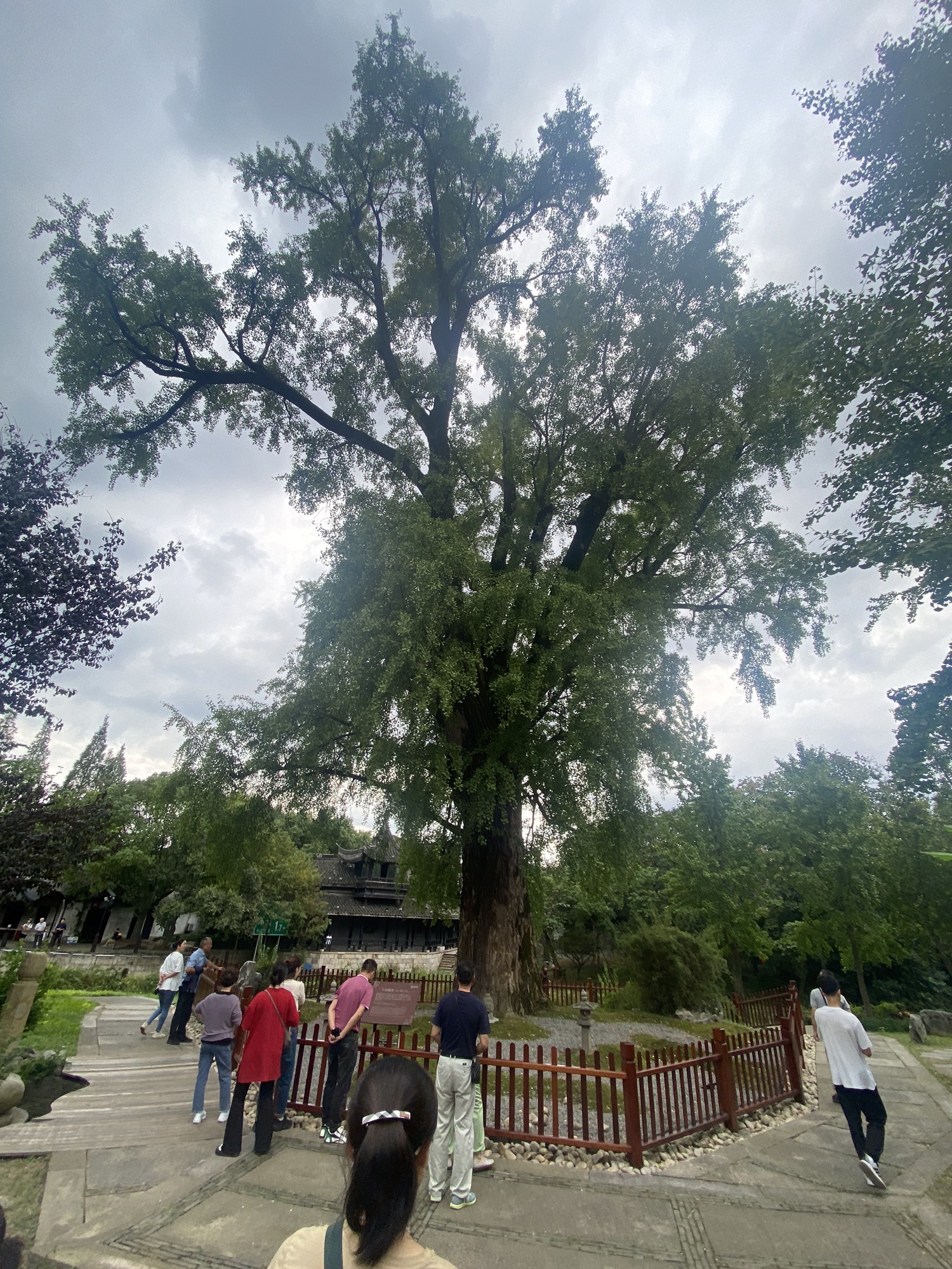 梅花洲景区旅行图片 2