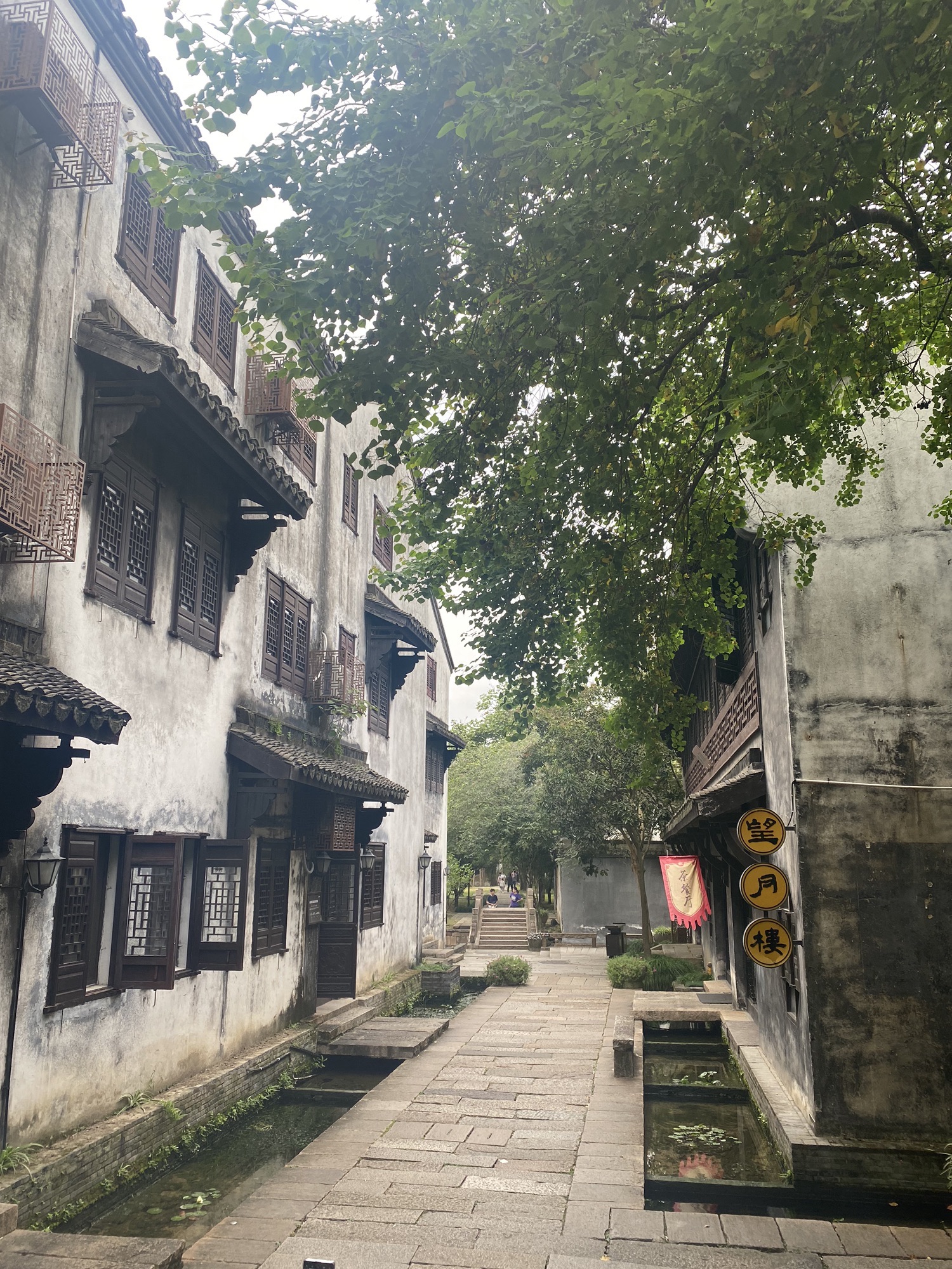 梅花洲景区旅行图片 3