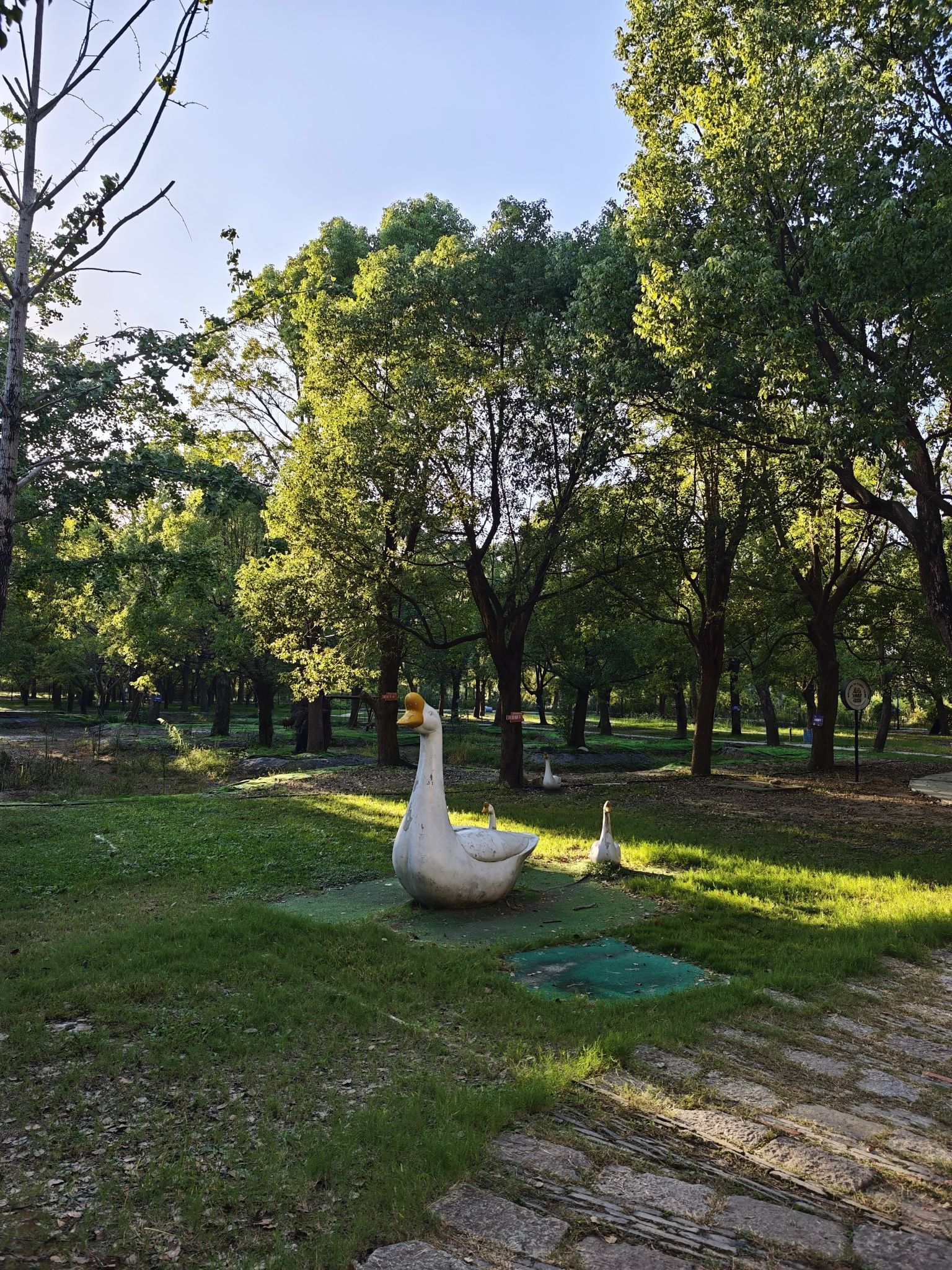 梅花洲景区旅行图片 3