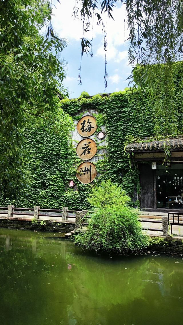 梅花洲景区旅行图片 1