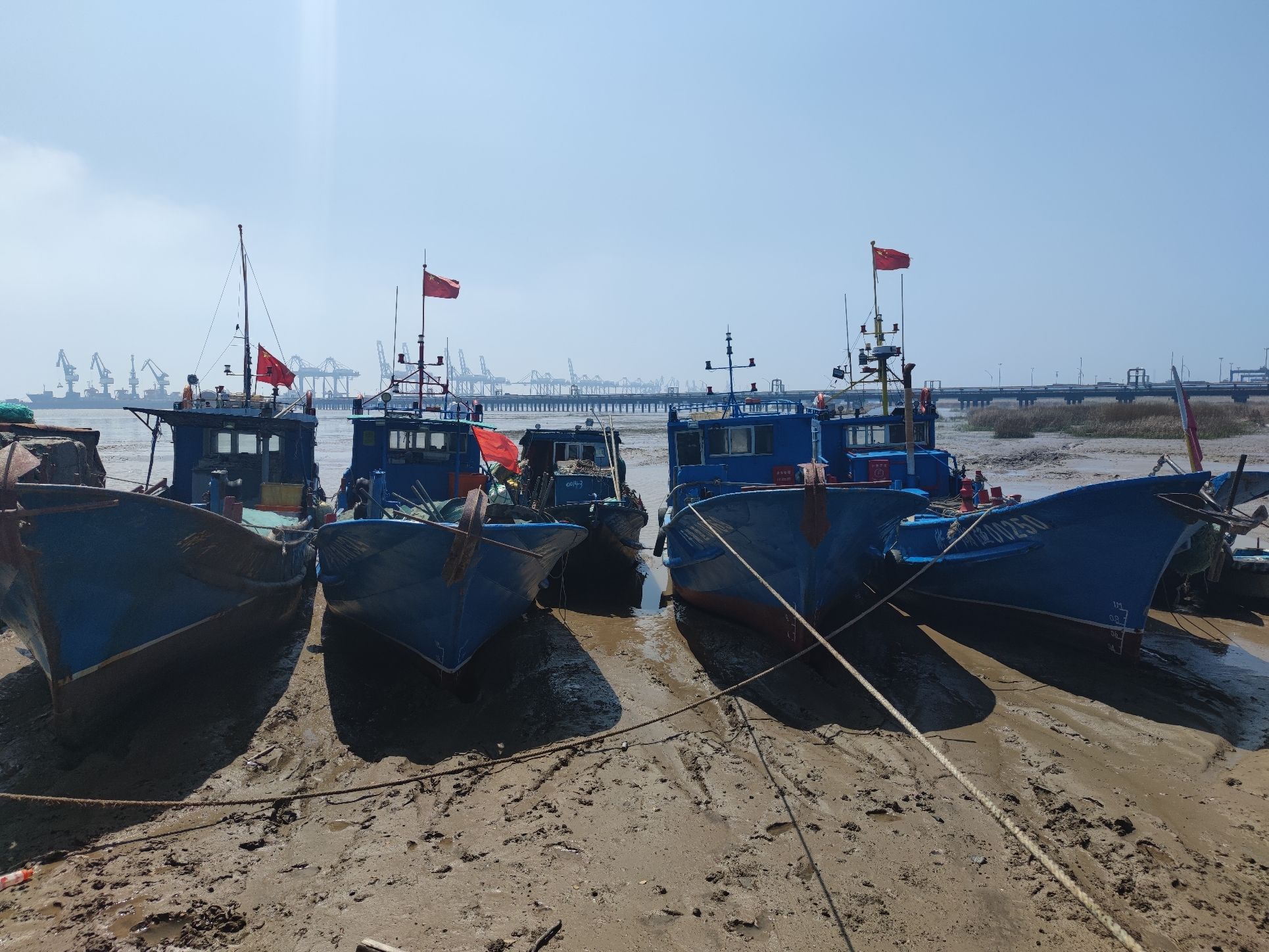 汤山公园旅行图片 3
