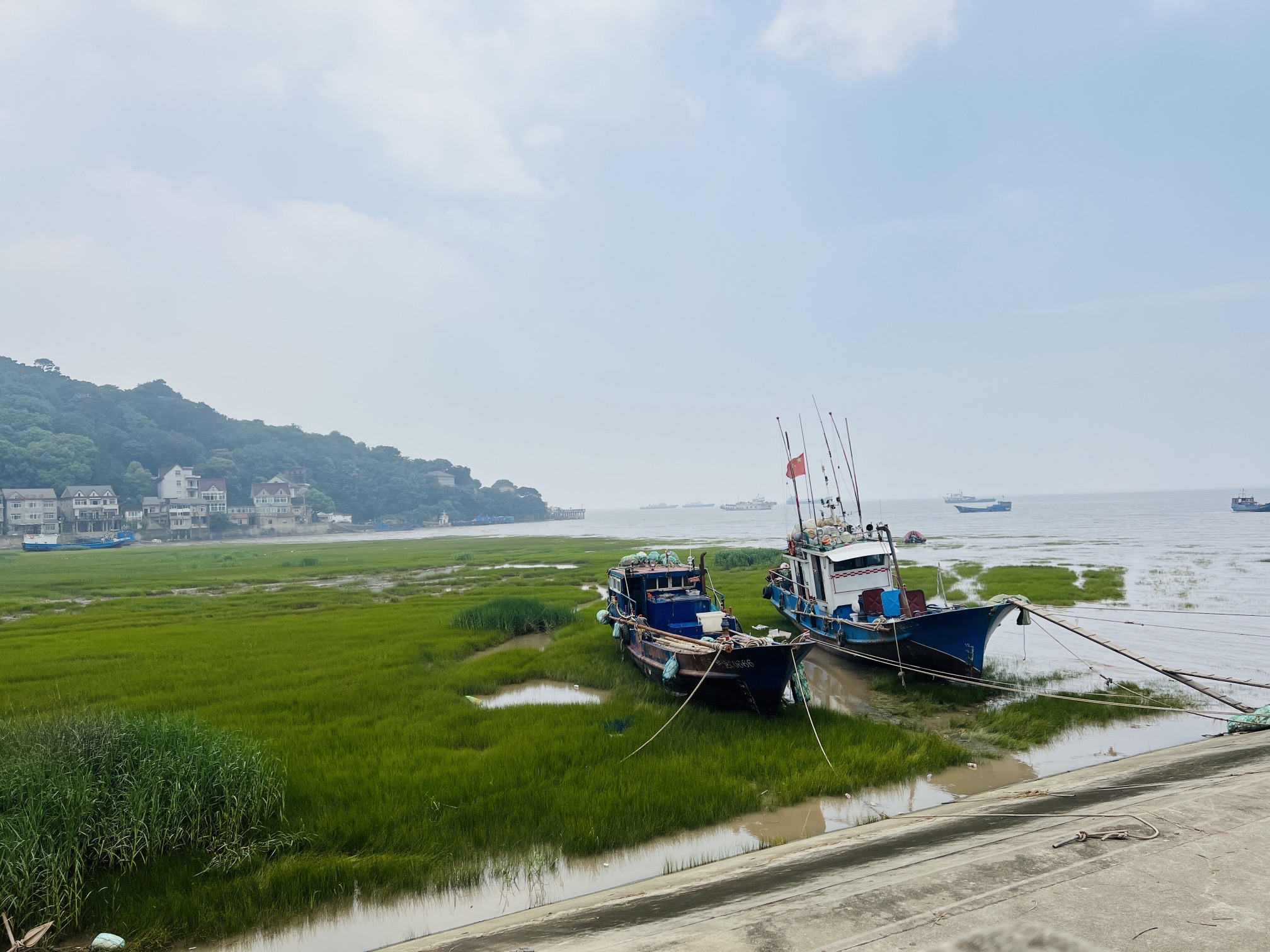 汤山公园旅行图片 3