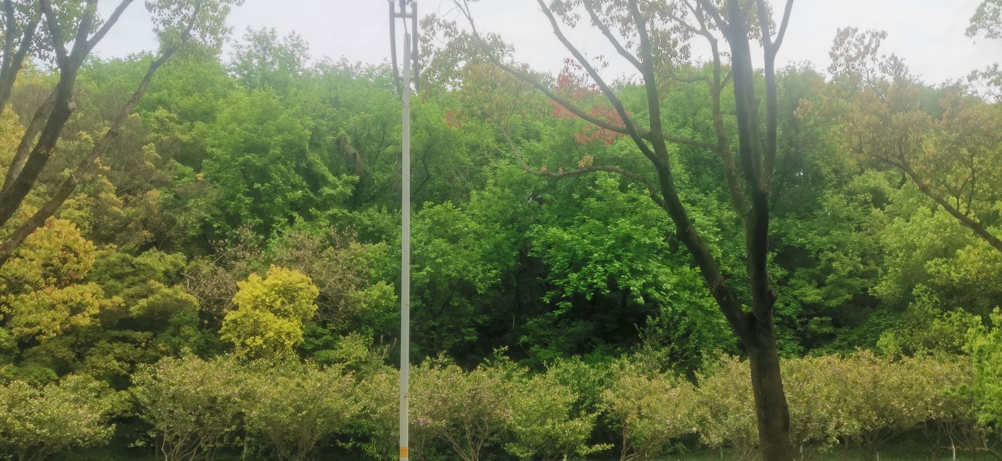 汤山公园旅行图片 2