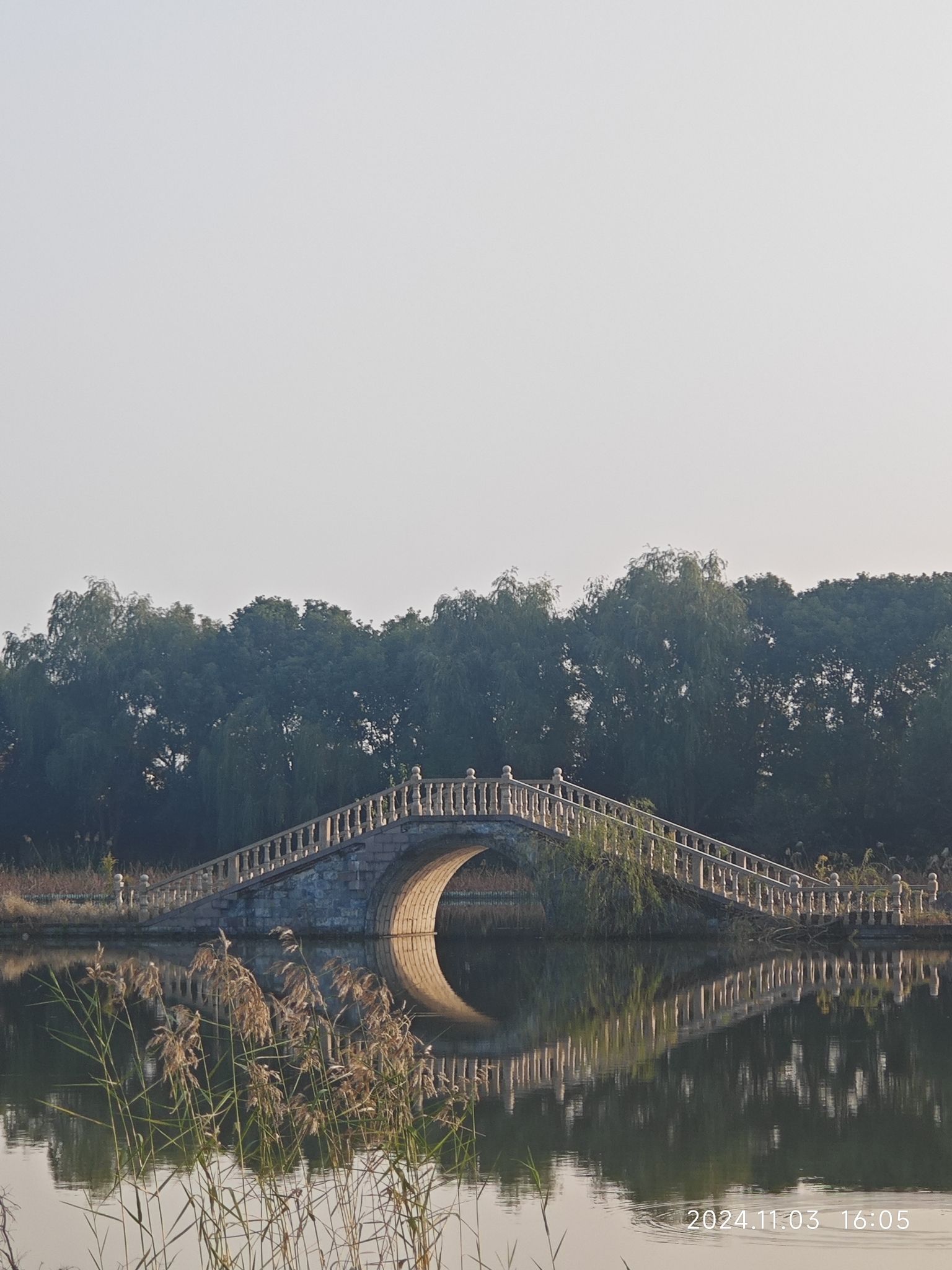 碧云花园旅行图片 2