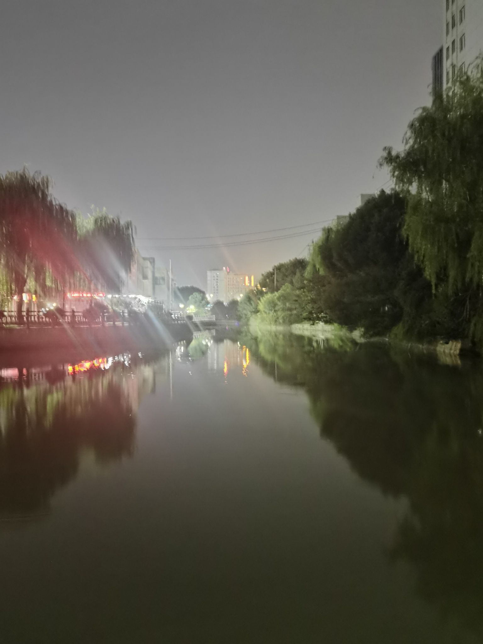 徐家港公园旅行图片 3