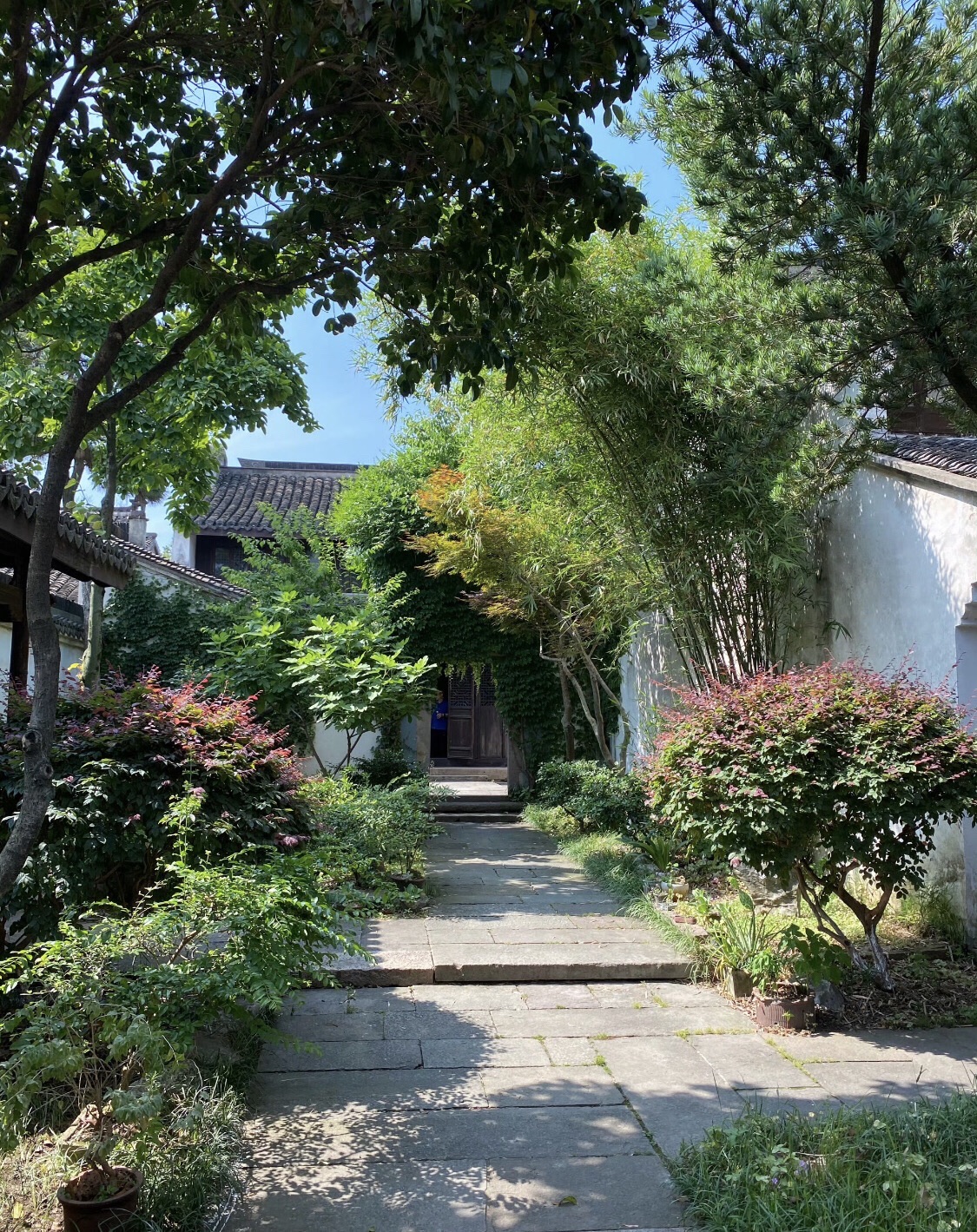 东山公园旅行图片 3