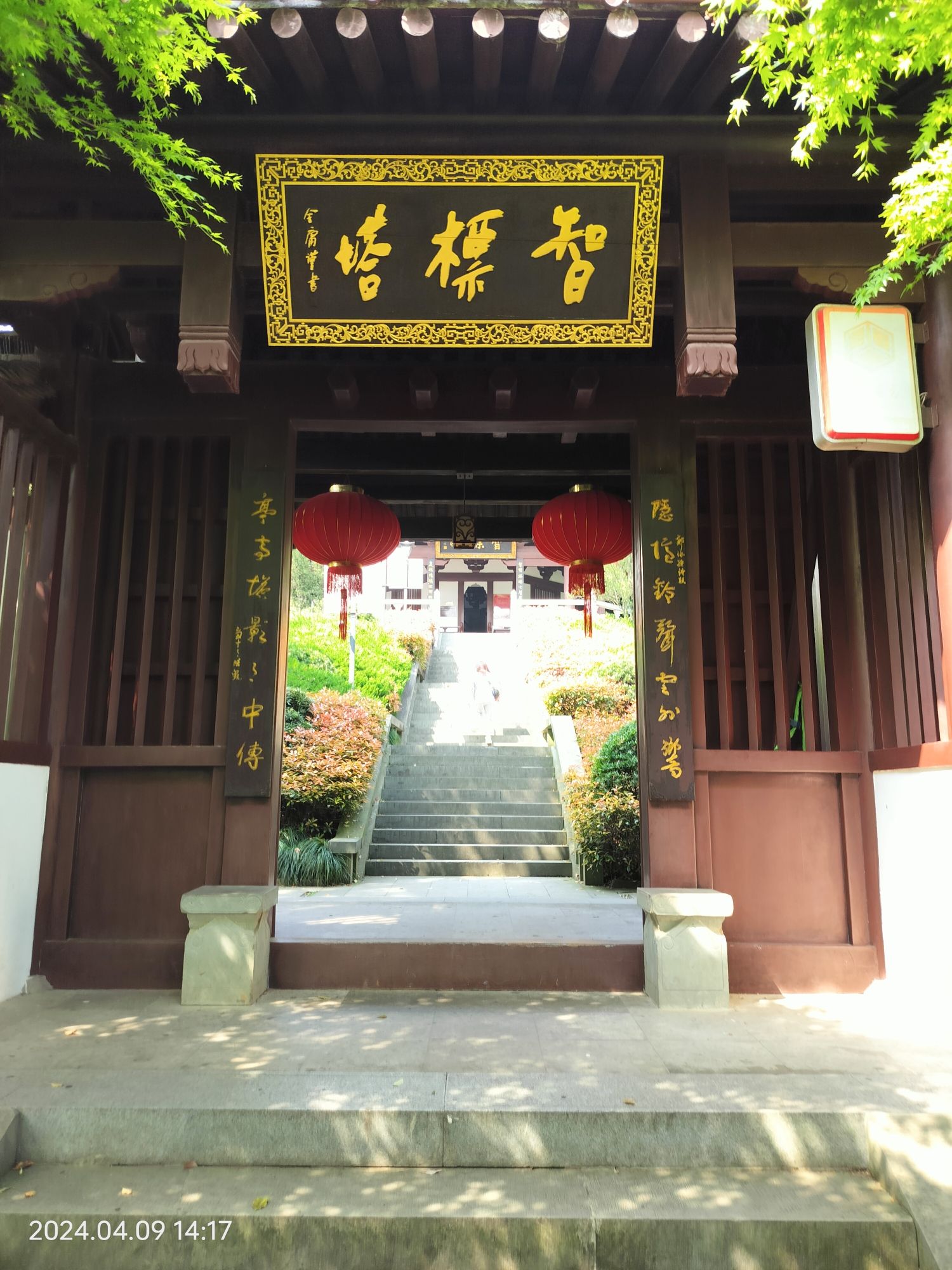 东山公园旅行图片 3