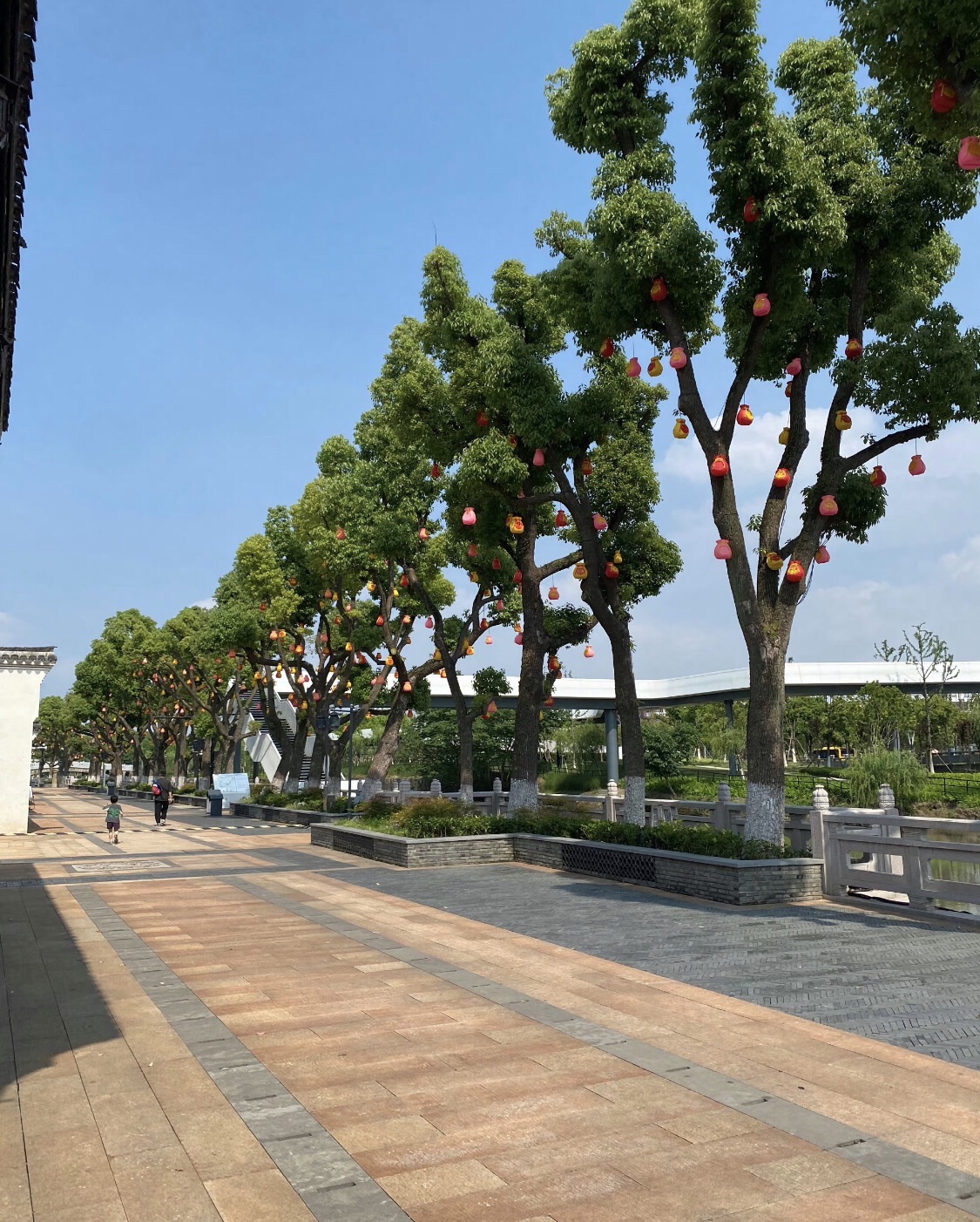 东山公园旅行图片 2