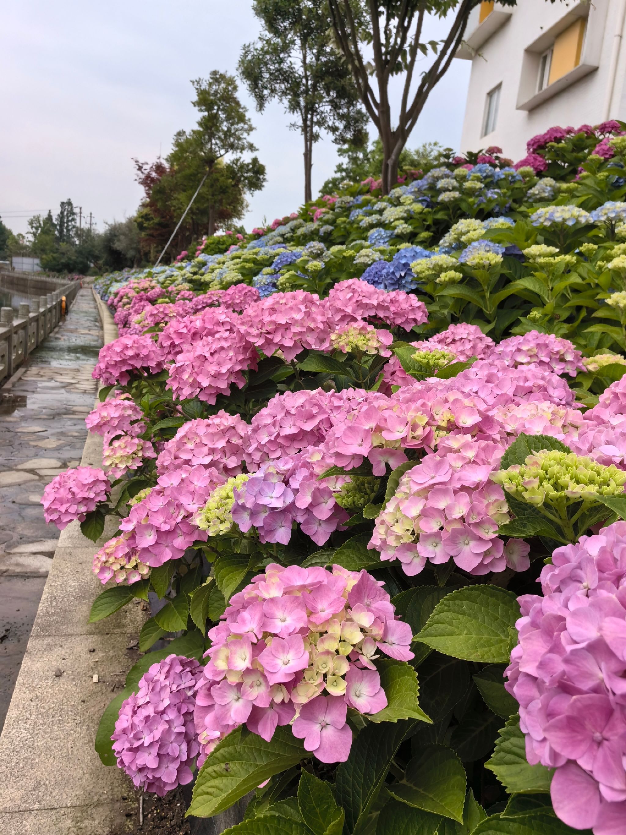 长安花卉园区