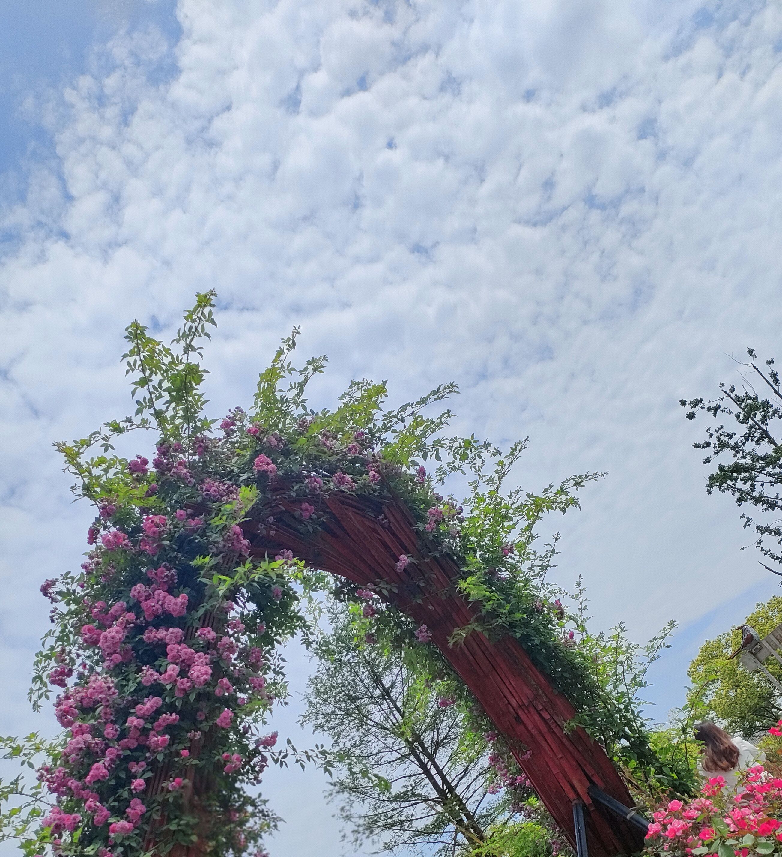 长安花卉园区