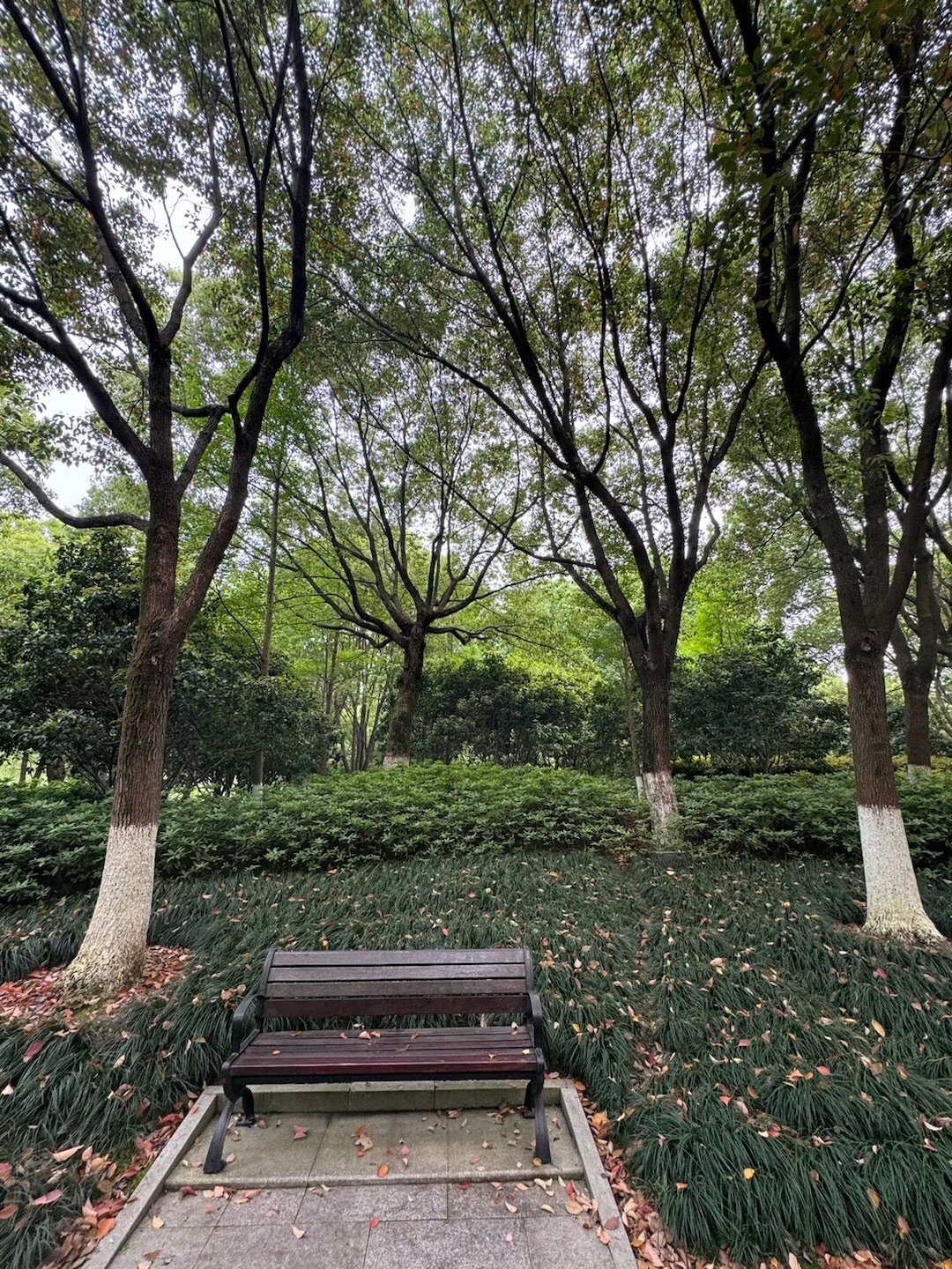 桐乡植物园旅行图片 2