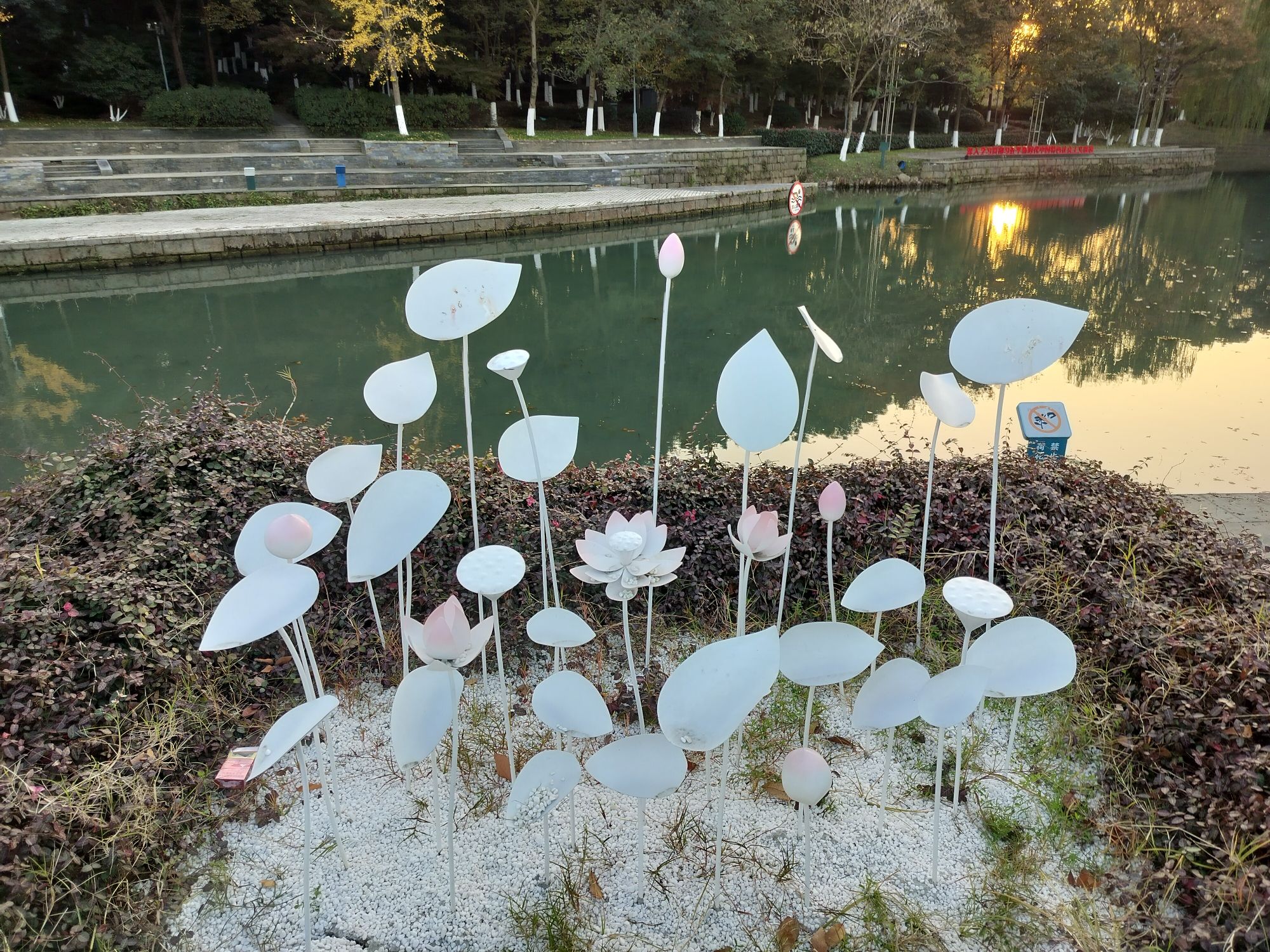 桐乡植物园旅行图片 1