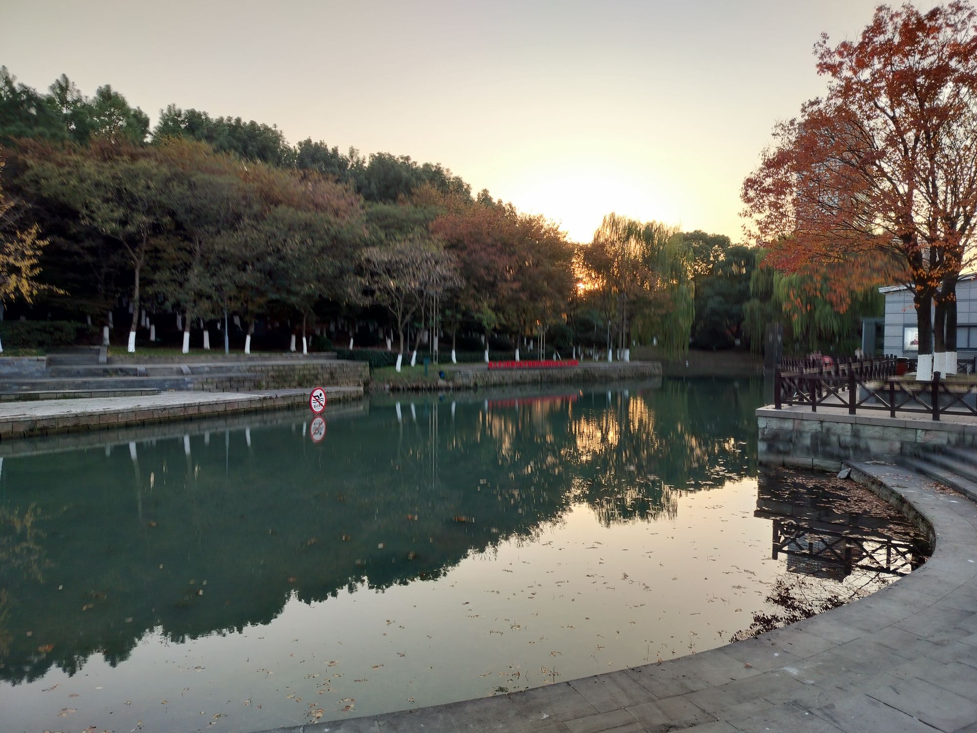 桐乡植物园旅行图片 2
