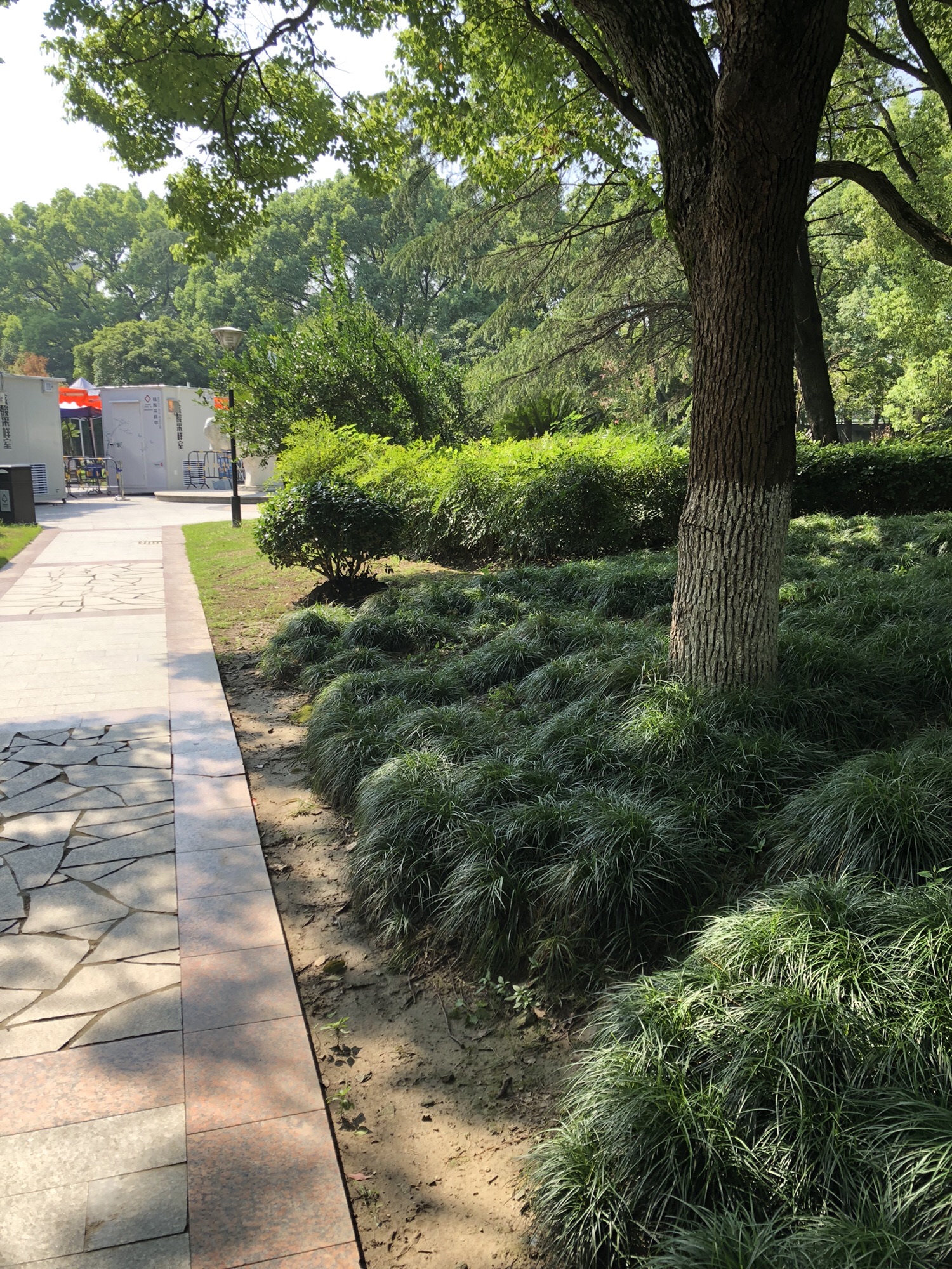 绿逸公园旅行图片 2