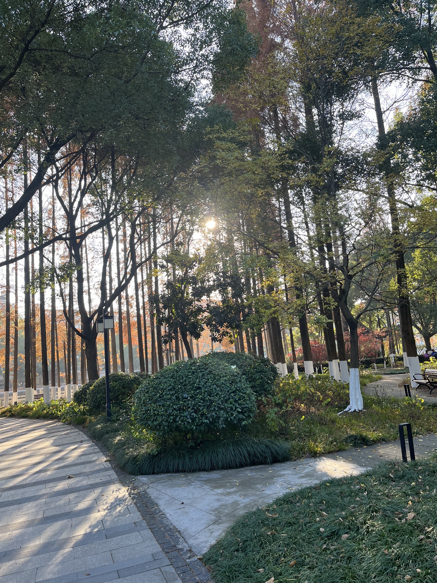 范蠡湖公园旅行图片 3
