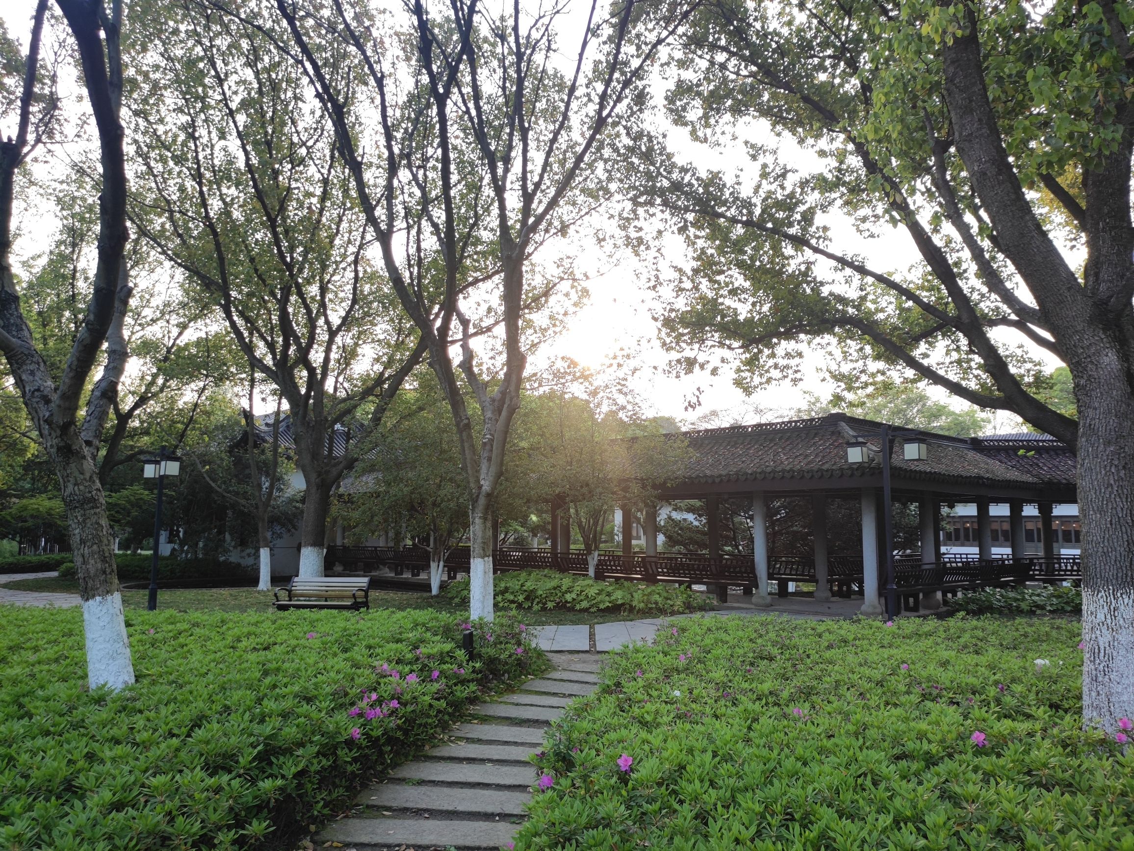 范蠡湖公园旅行图片 1
