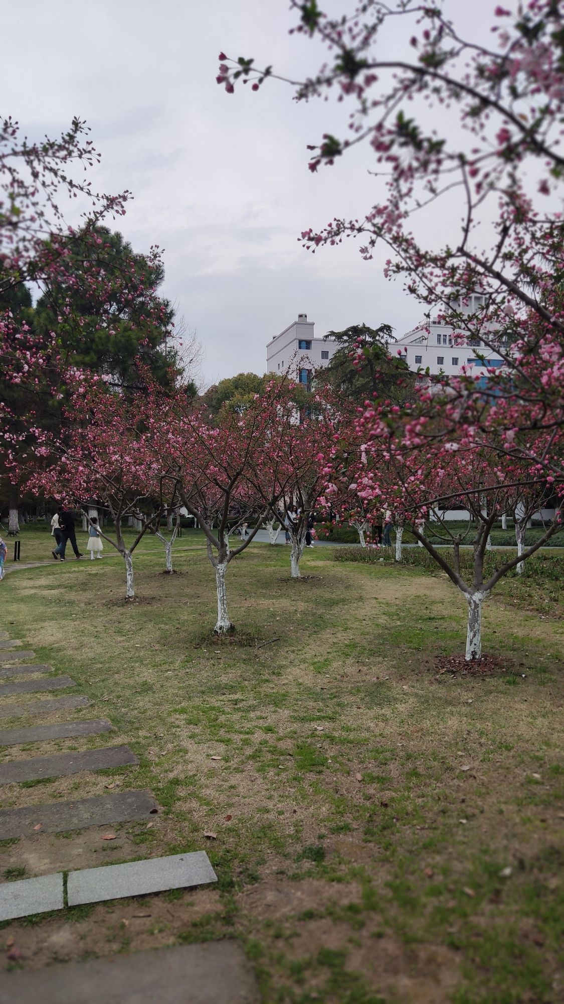 范蠡湖公园旅行图片 3