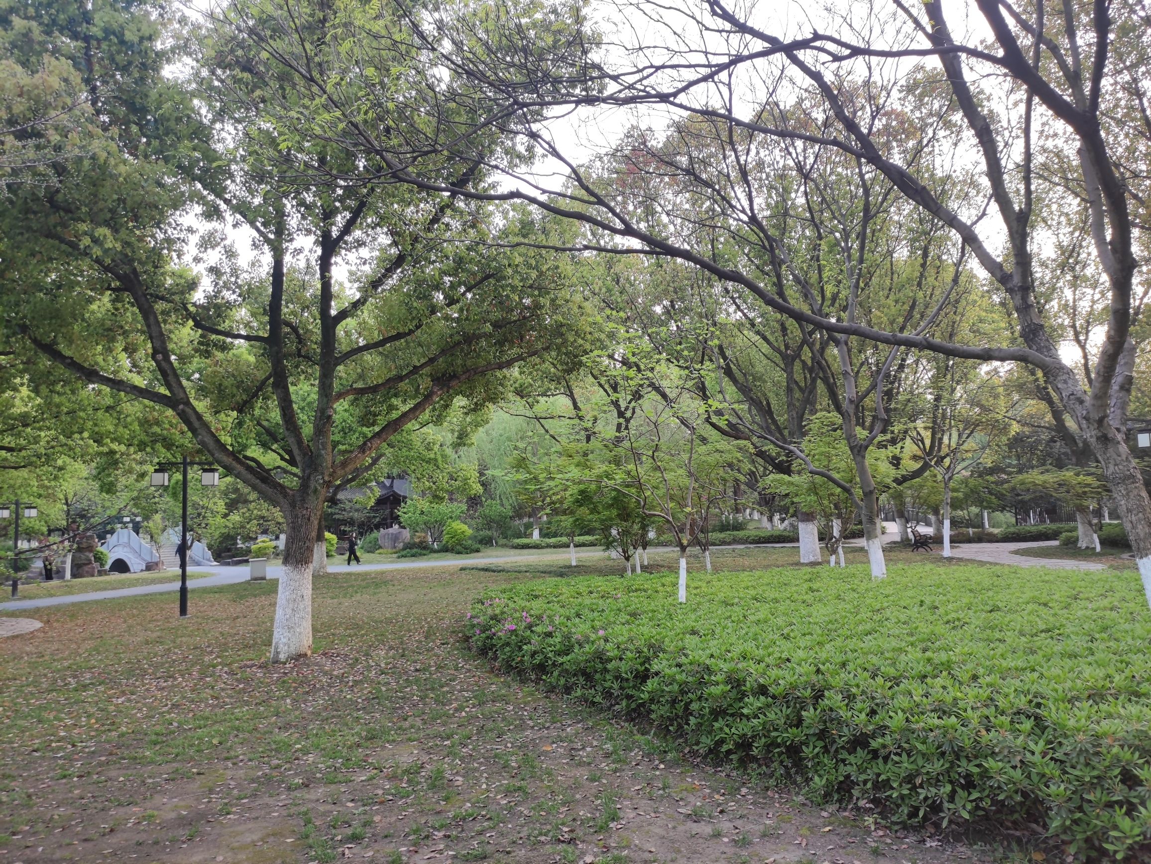范蠡湖公园旅行图片 2