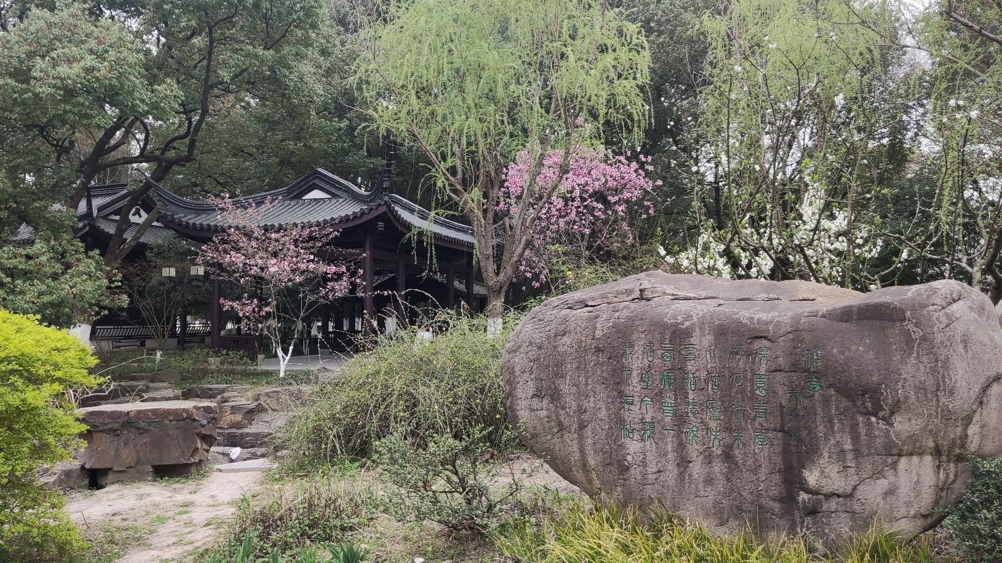 范蠡湖公园旅行图片 2