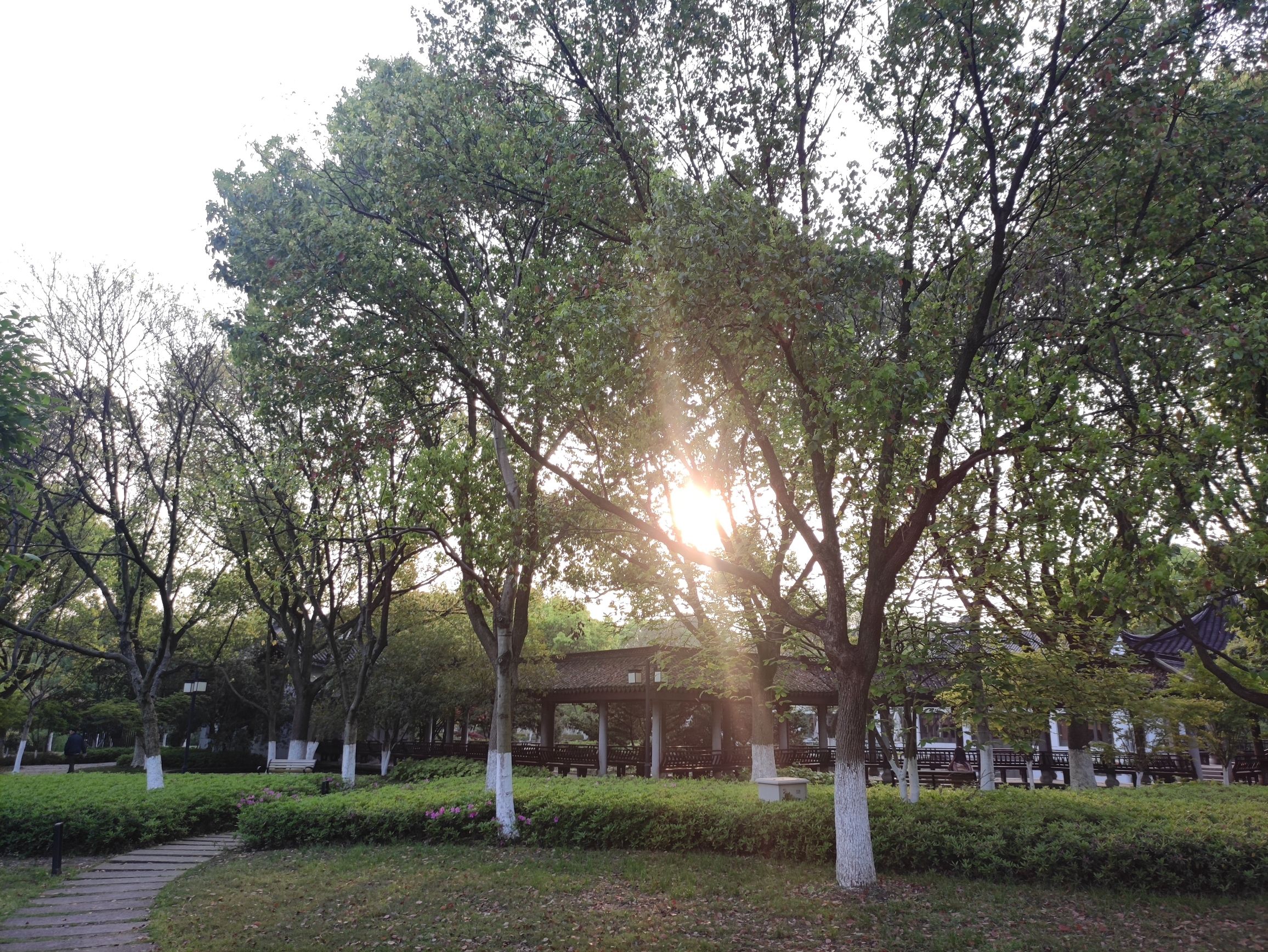 范蠡湖公园旅行图片 3