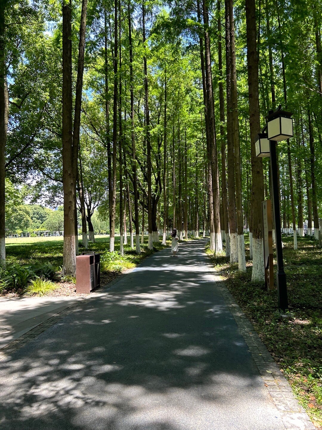 范蠡湖公园旅行图片 2