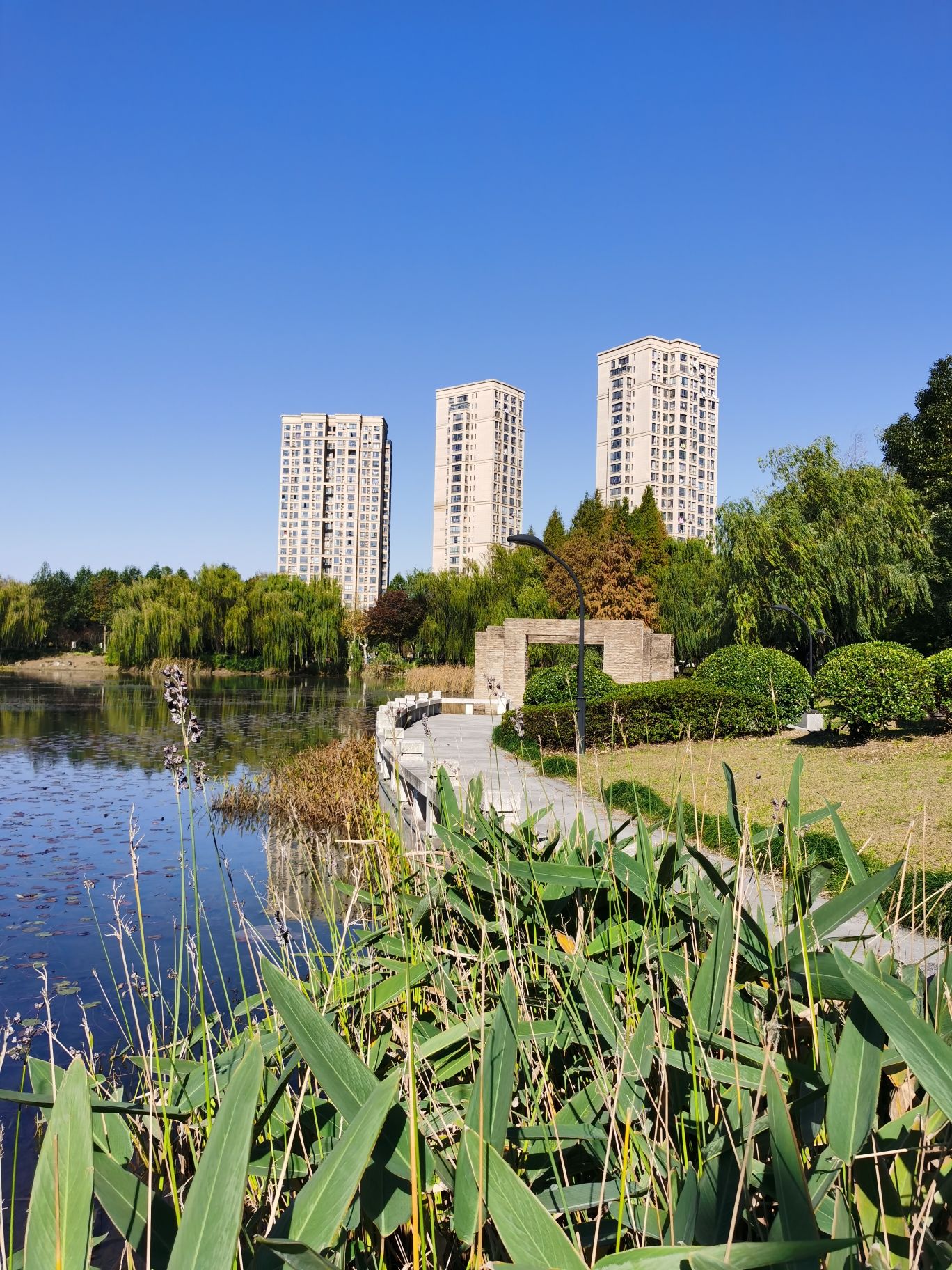 白马湖公园旅行图片 1